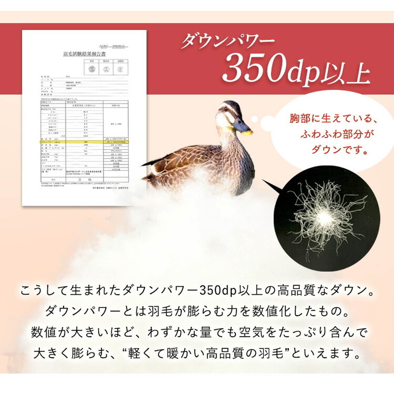羽毛布団・羽根布団