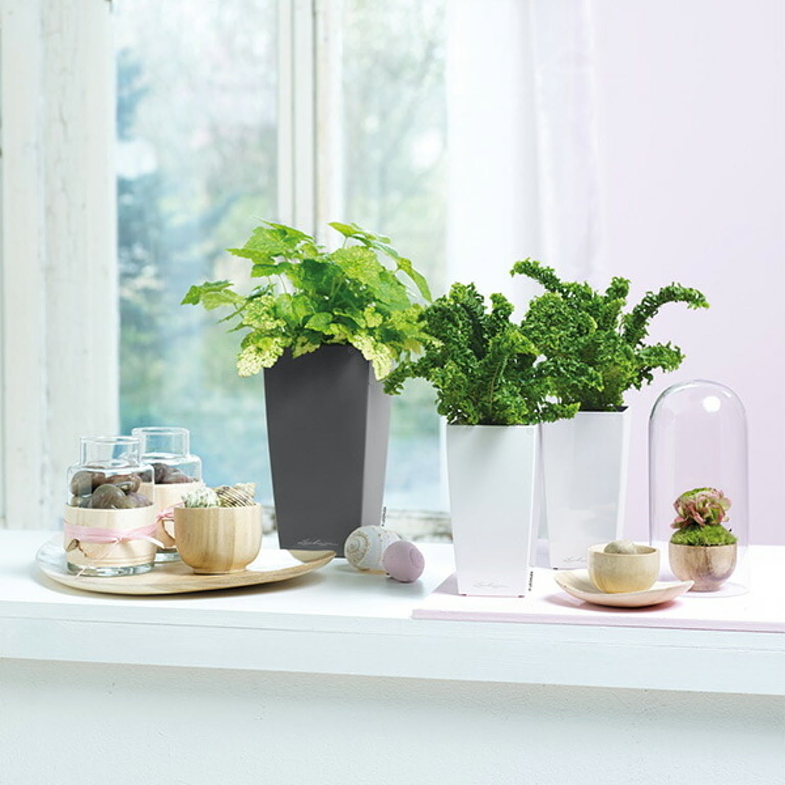 プランター・植木鉢