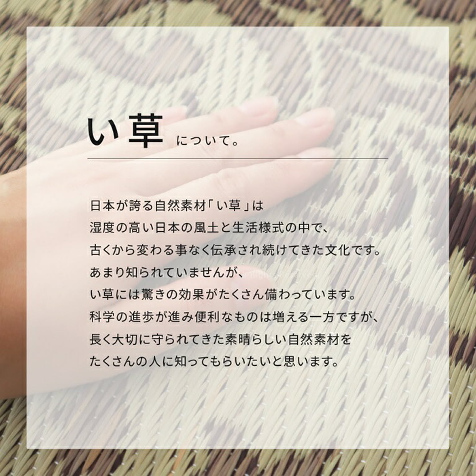 ラグ