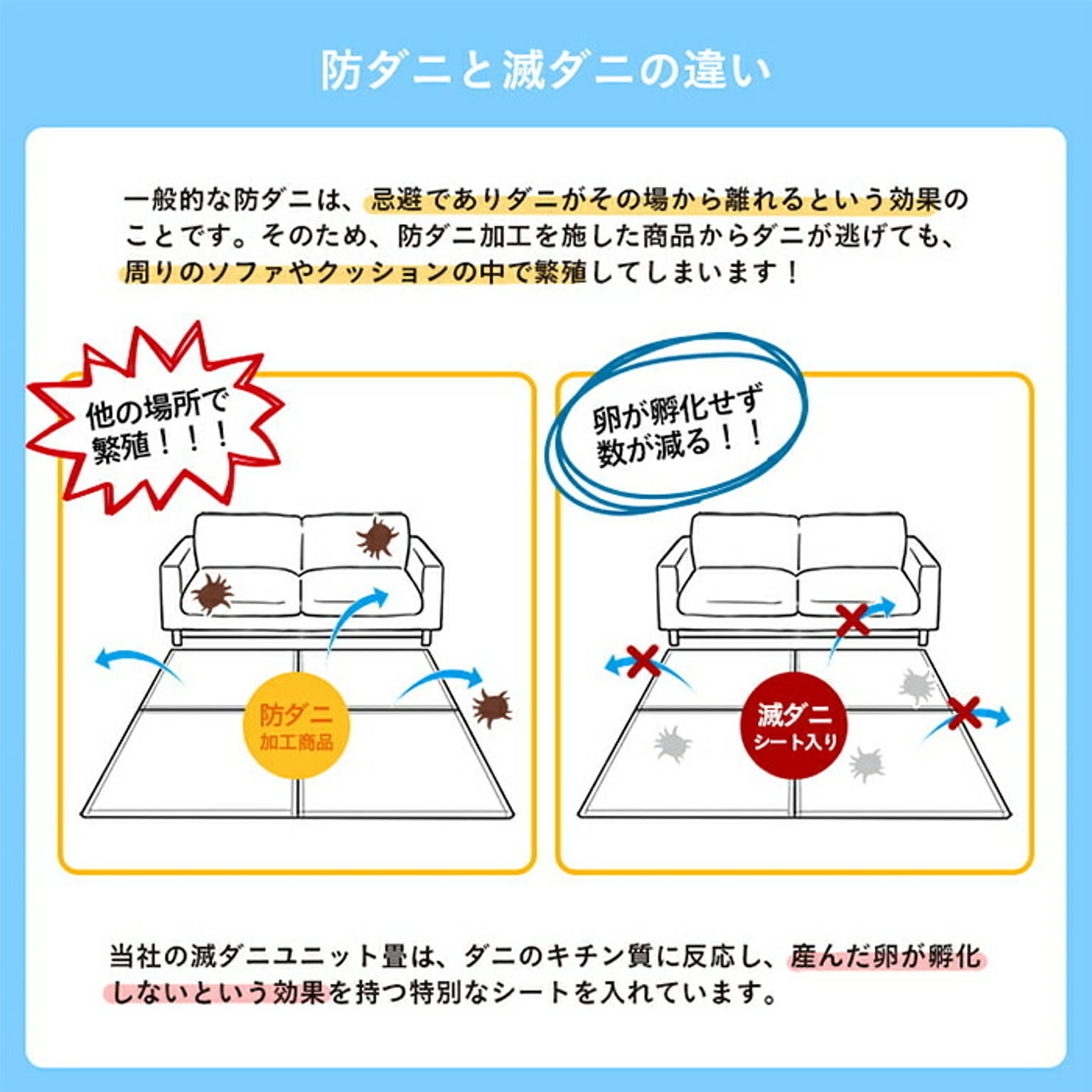 ござ・い草ラグ