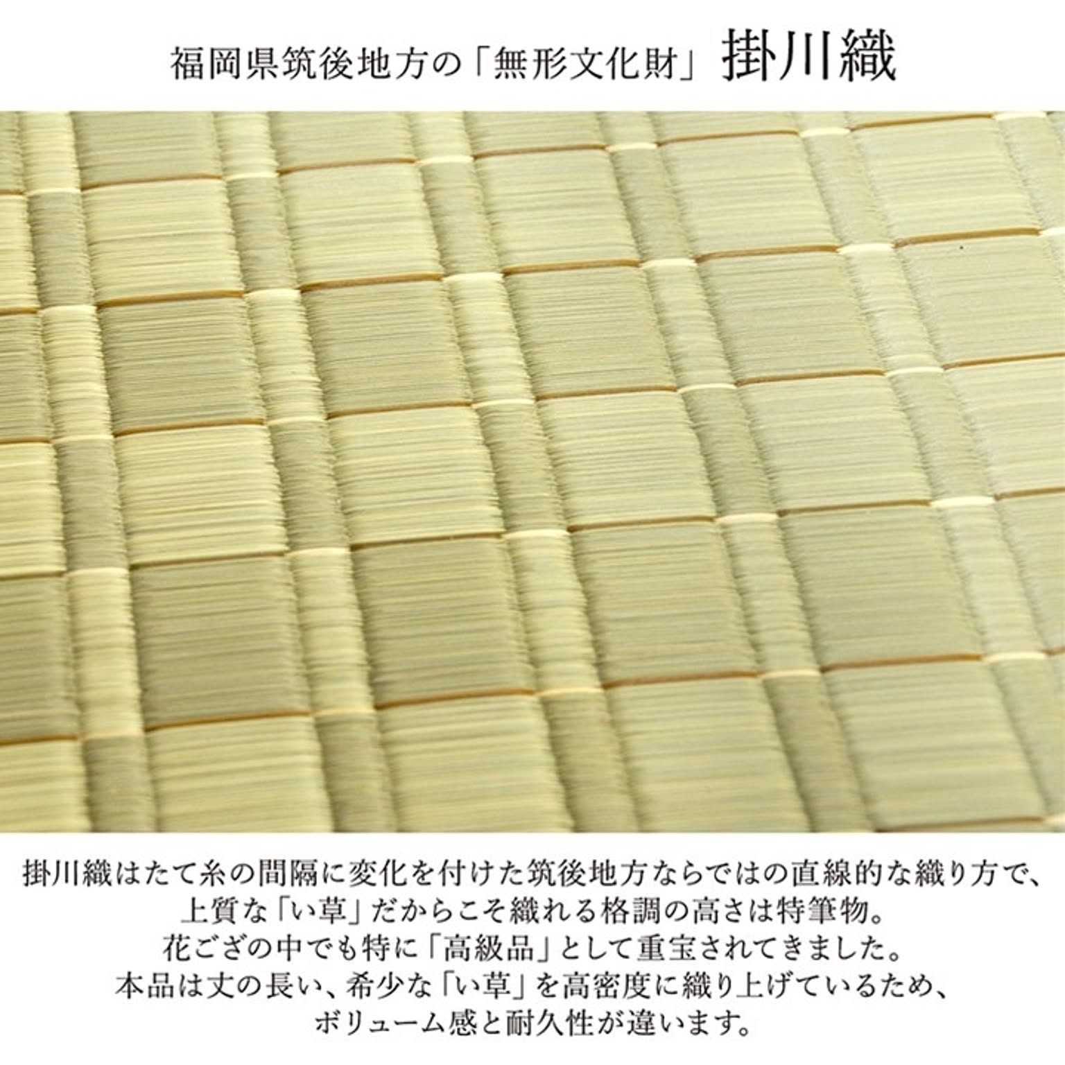ござ・い草ラグ