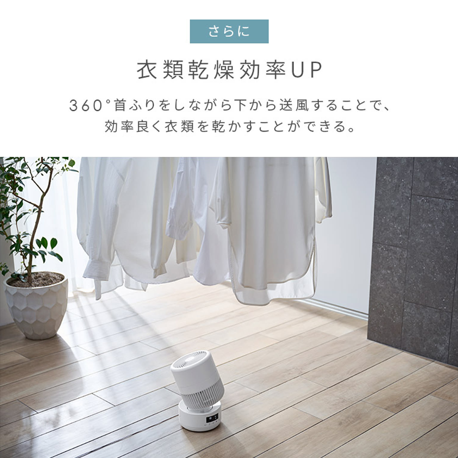 サーキュレーター