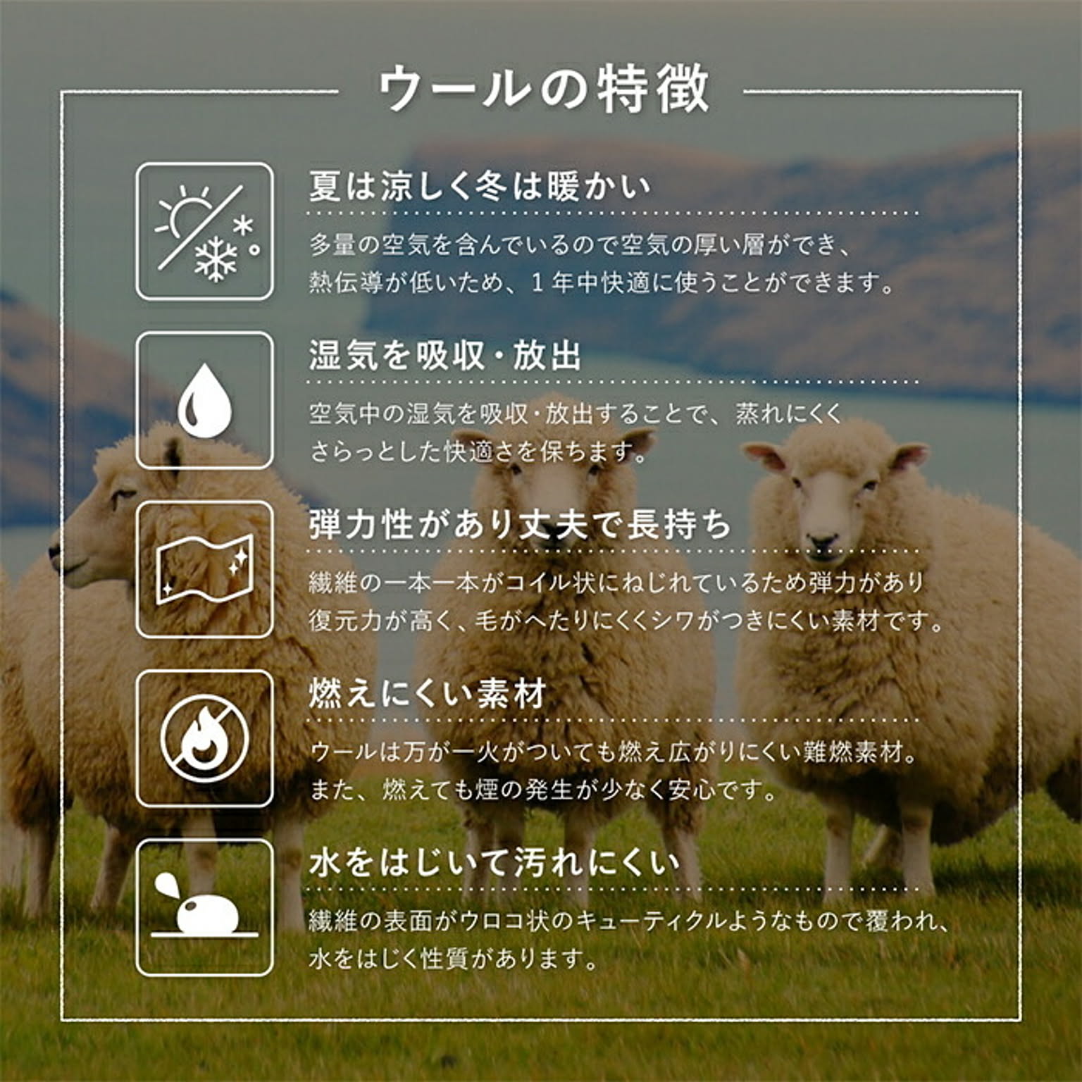チェアパッド・円座クッション