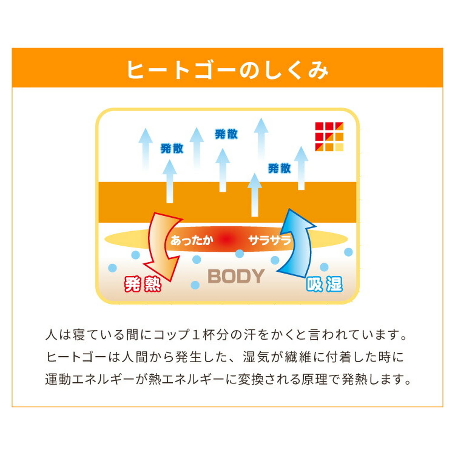 ラグ