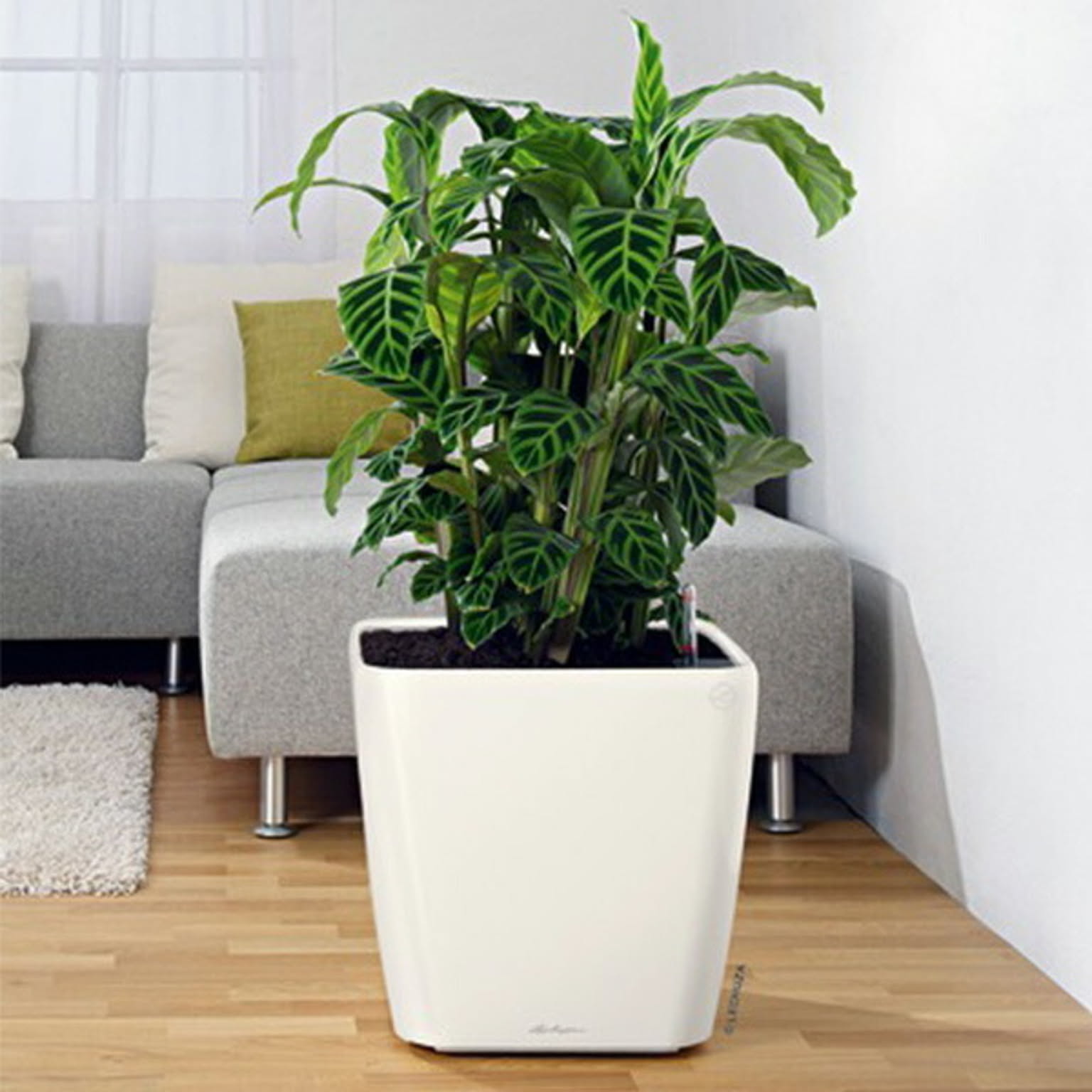 プランター・植木鉢