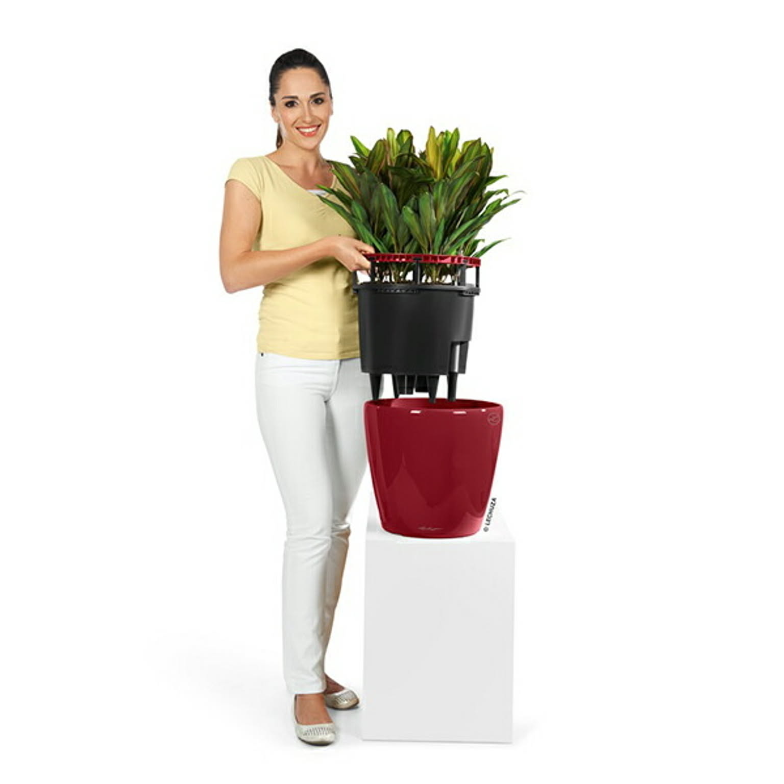 プランター・植木鉢