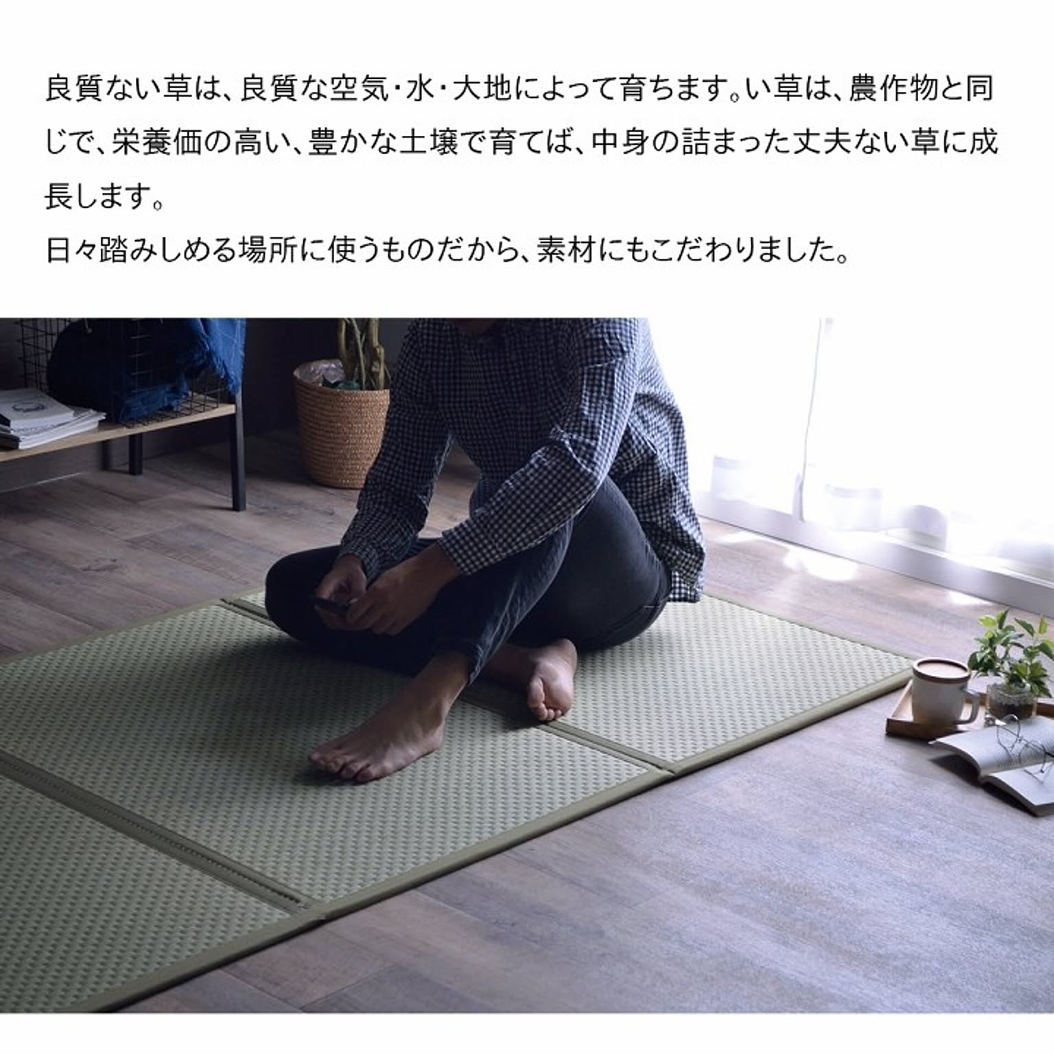 ござ・い草ラグ