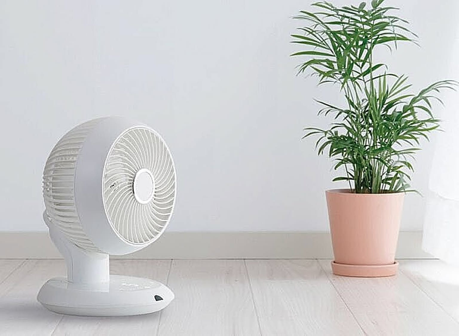 サーキュレーター