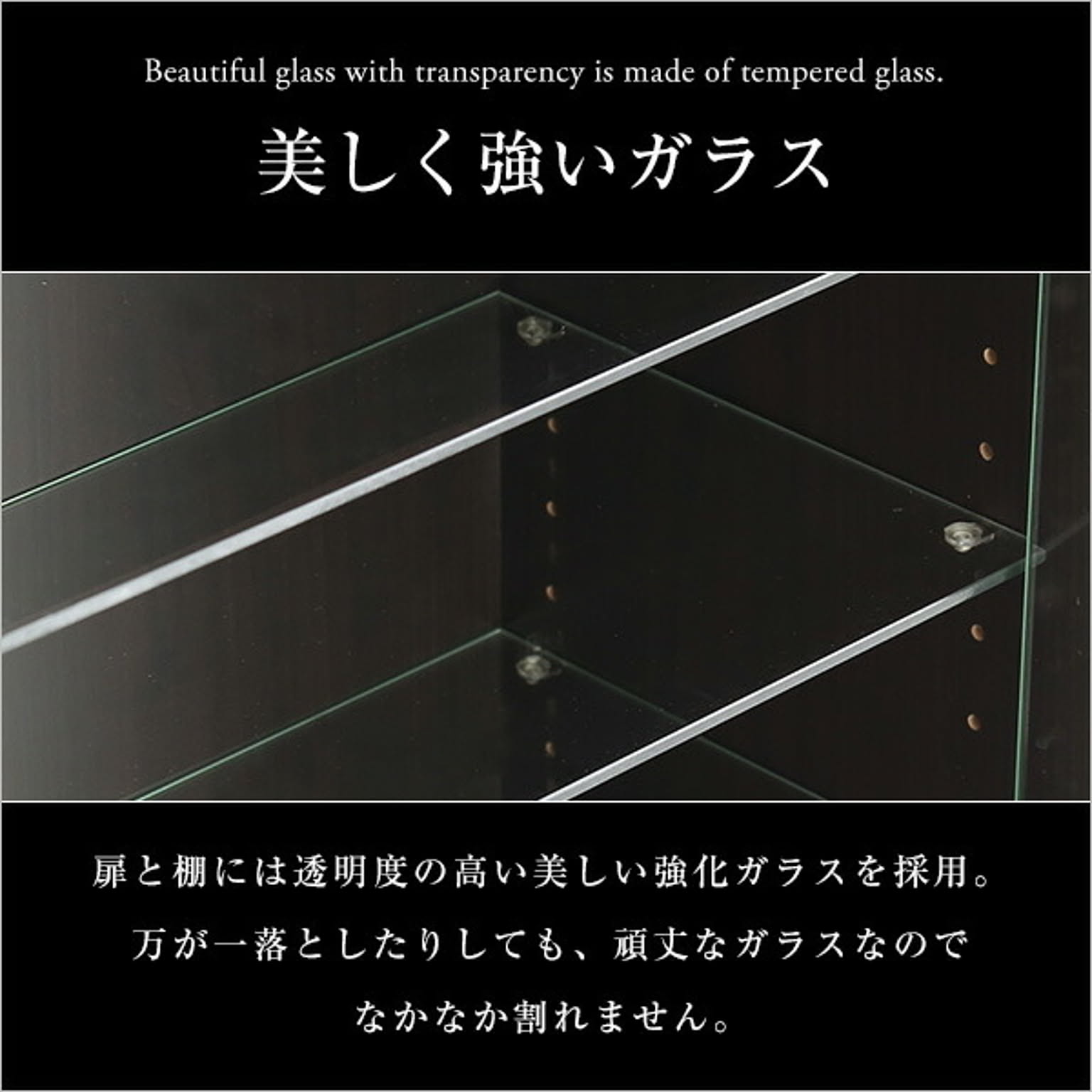 コレクションケース