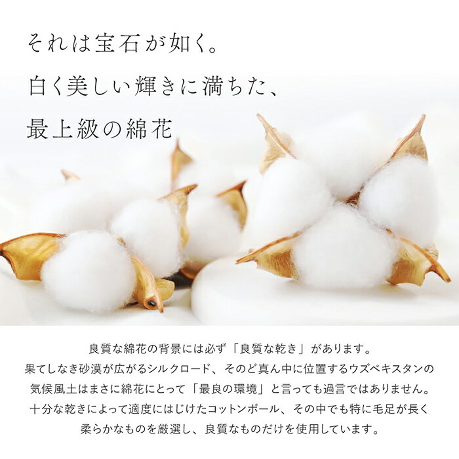ラグ