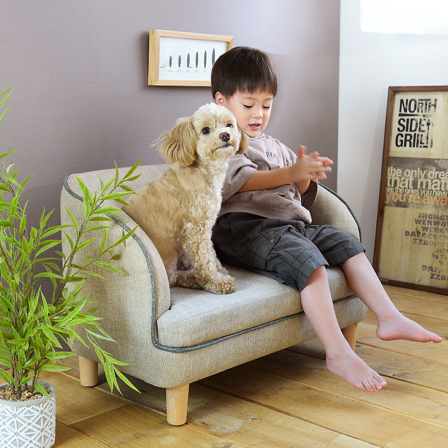 犬用インテリア・犬用家具