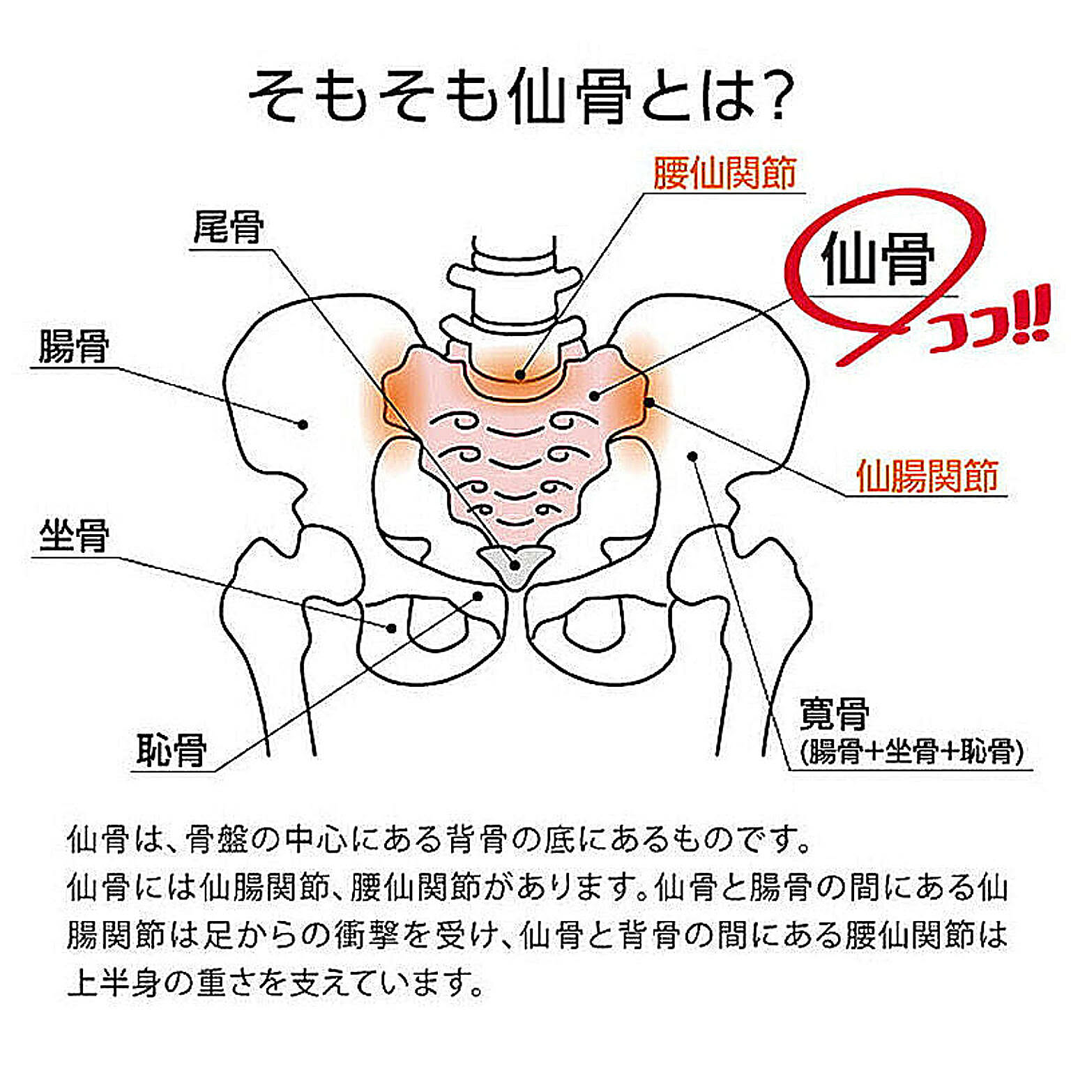 美容グッズ