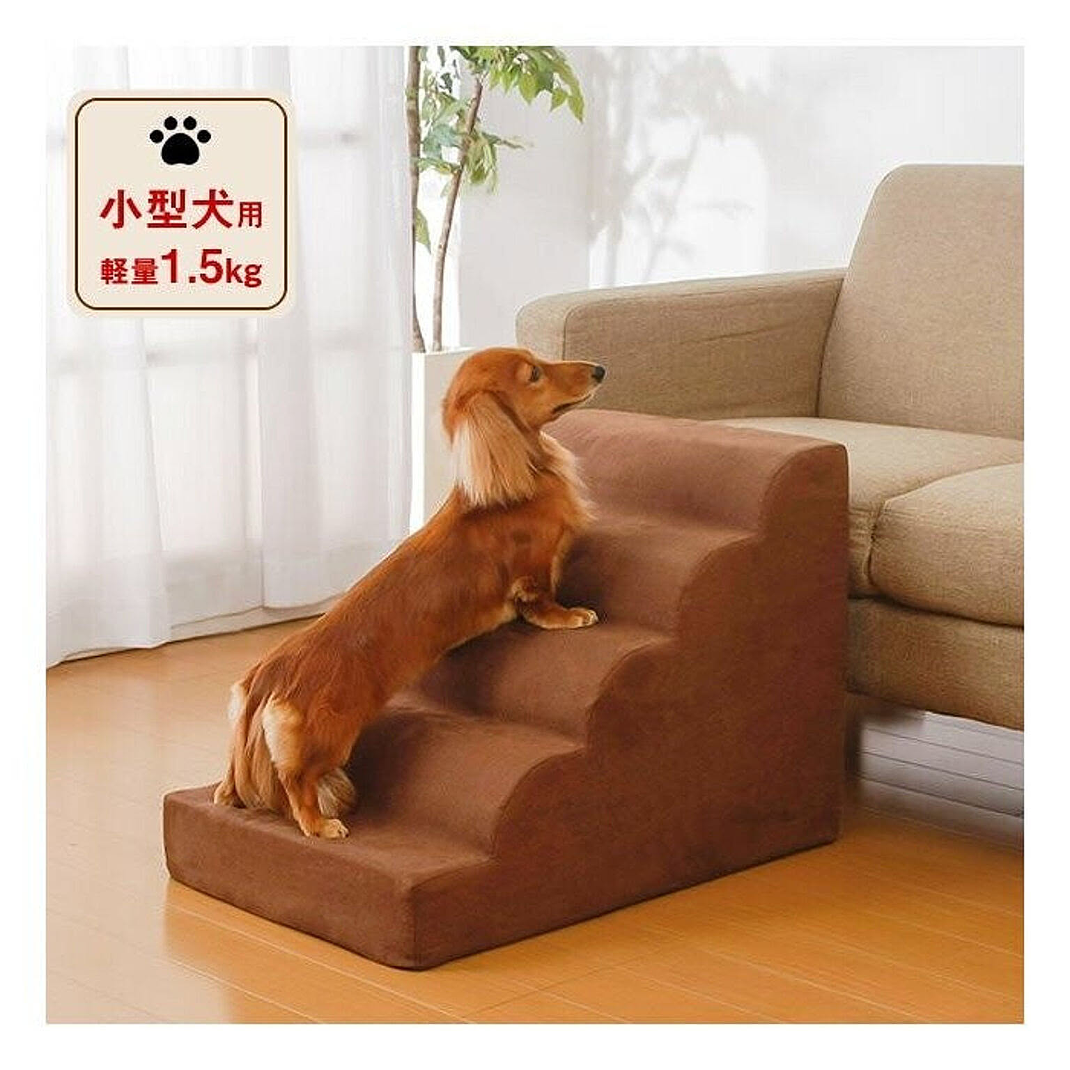 犬用インテリア・犬用家具