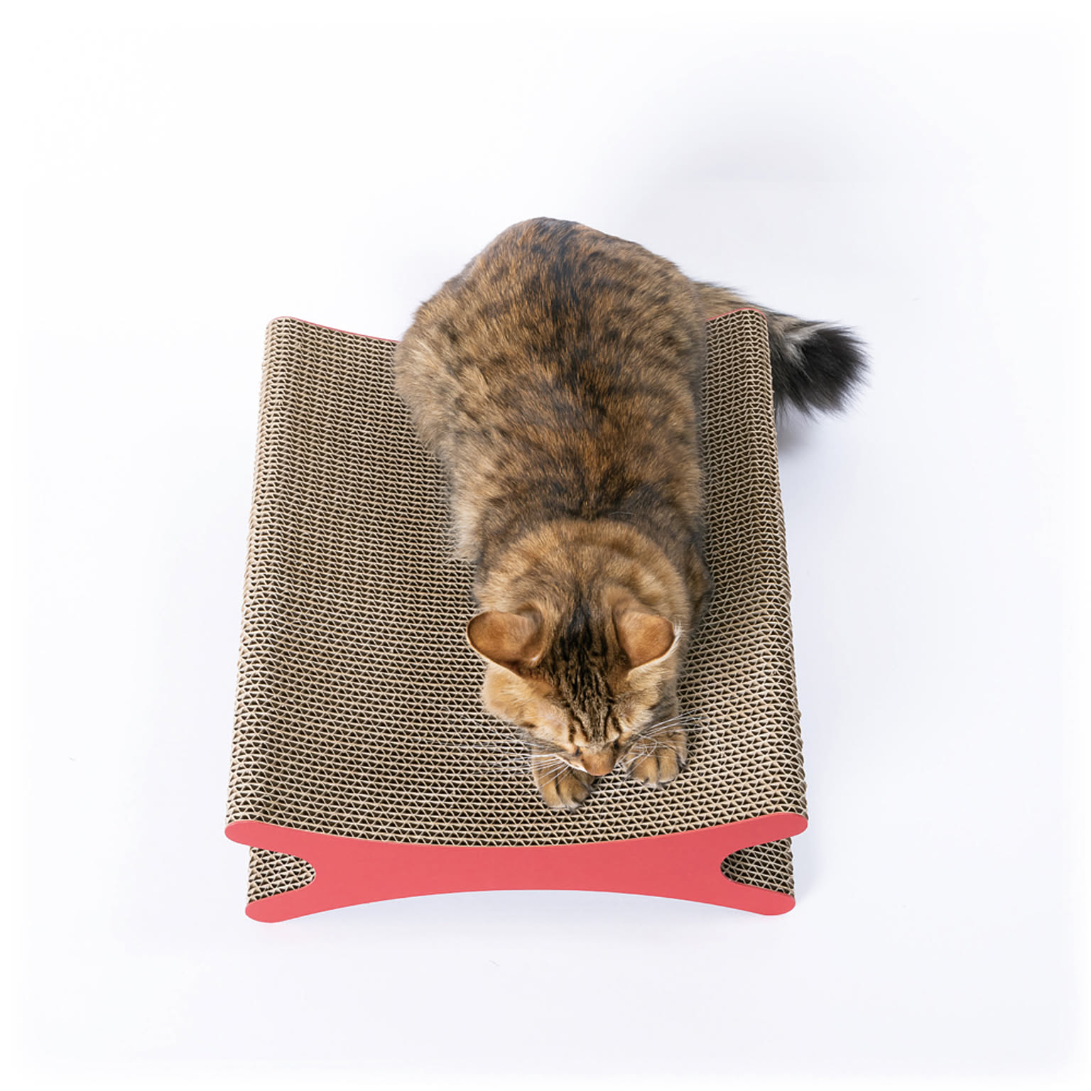 猫用インテリア・猫用家具