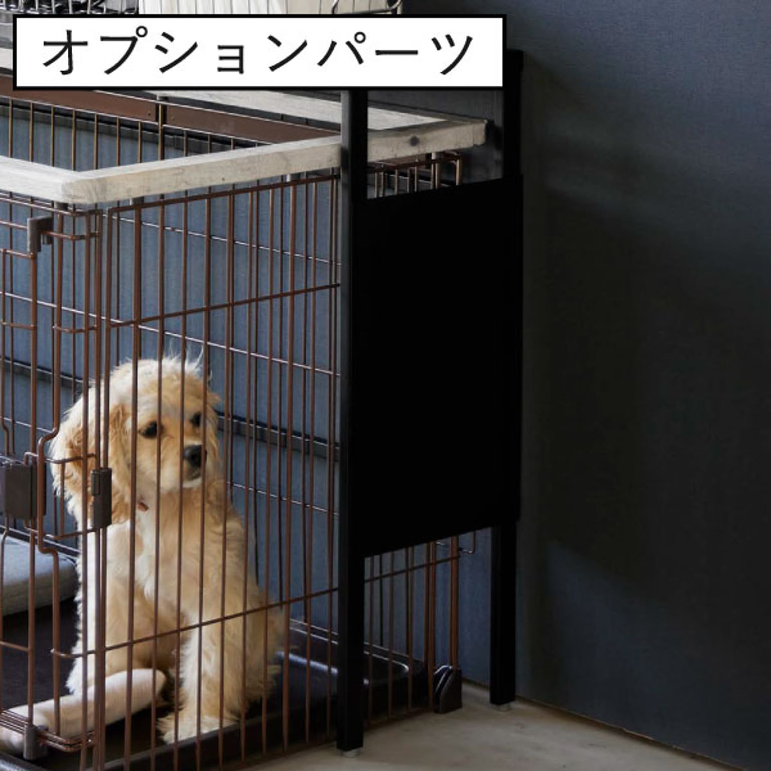 犬用インテリア・犬用家具