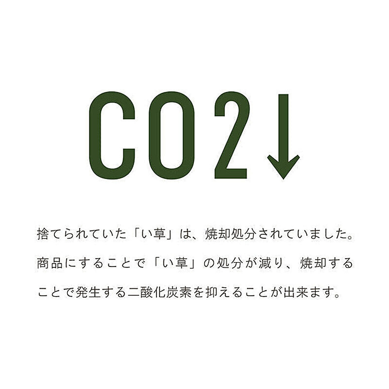 ござ・い草ラグ