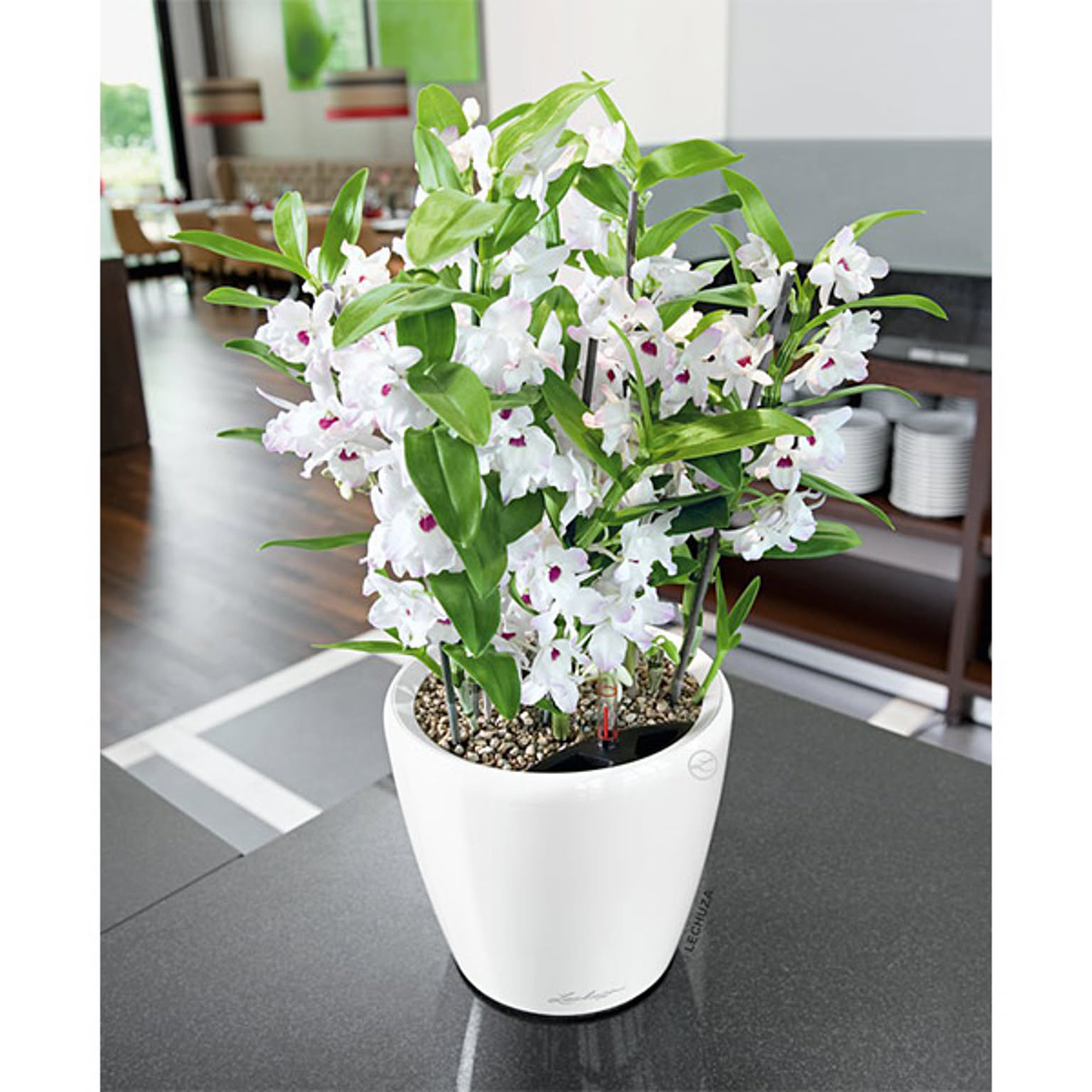 プランター・植木鉢