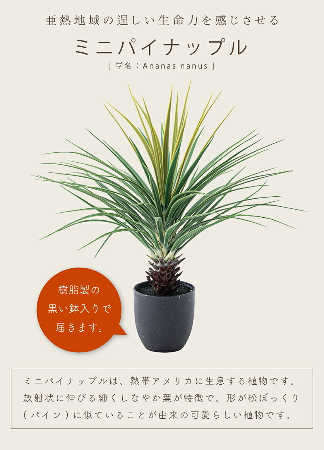フェイクグリーン