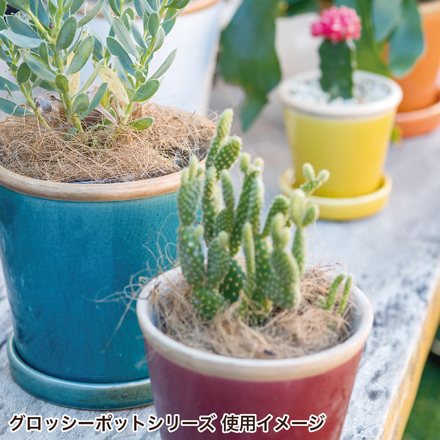 プランター・植木鉢