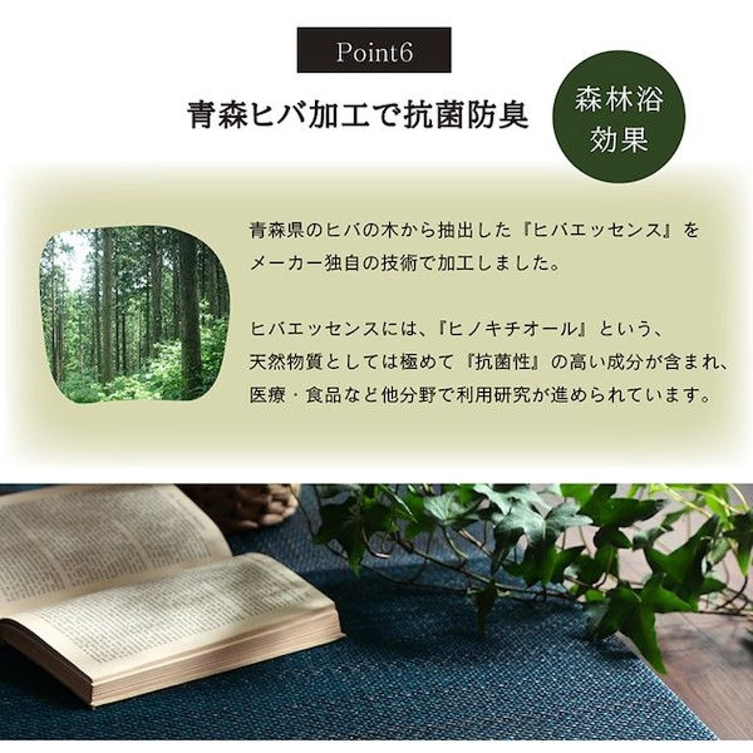 ござ・い草ラグ