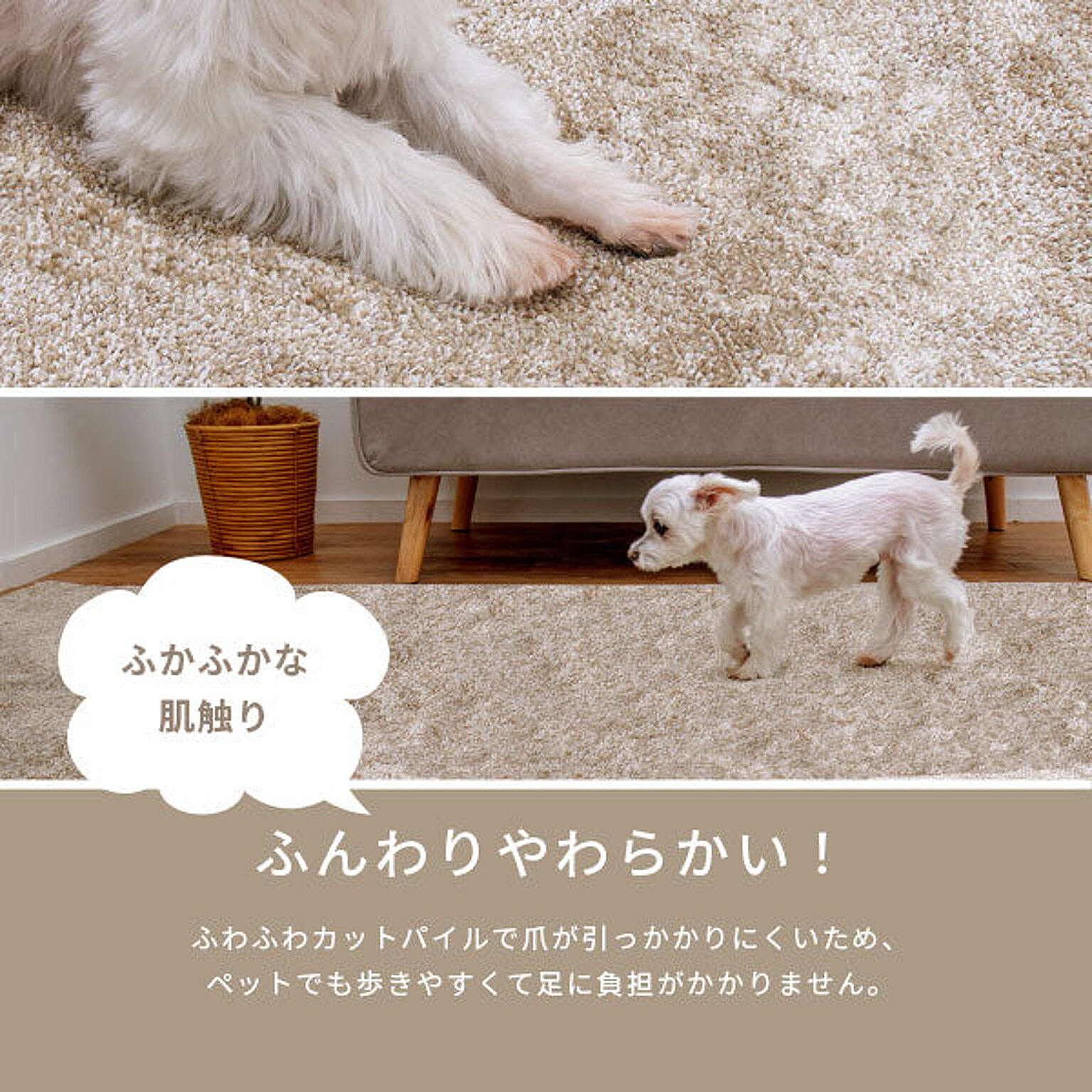 ラグ