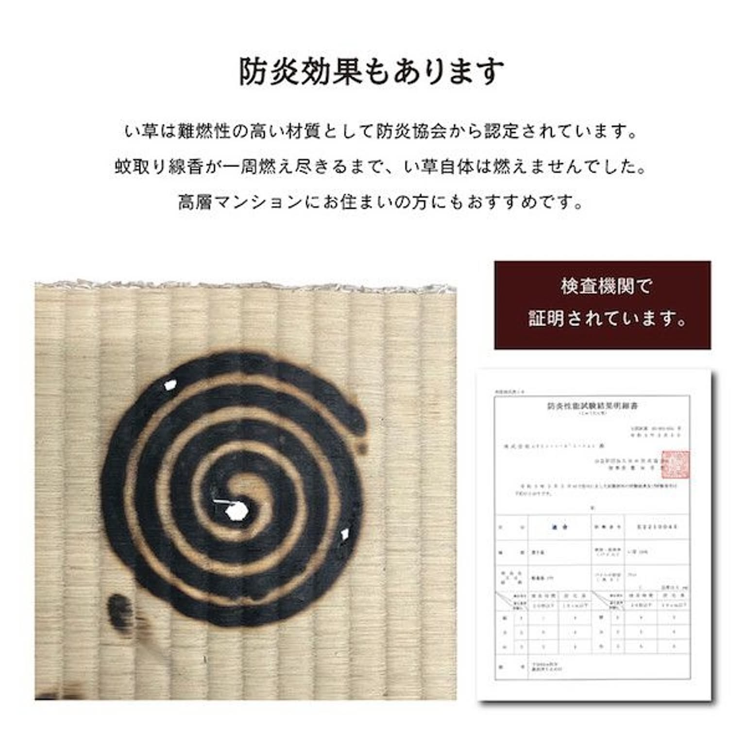 ござ・い草ラグ