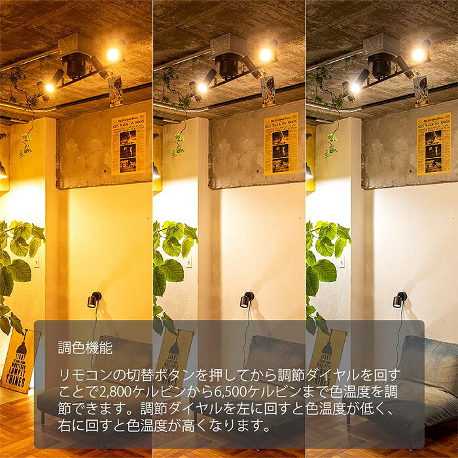 スポットライト