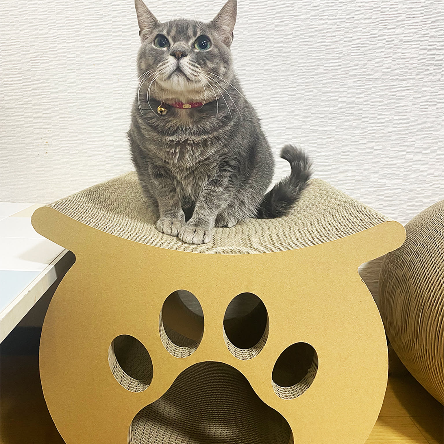 猫用インテリア・猫用家具