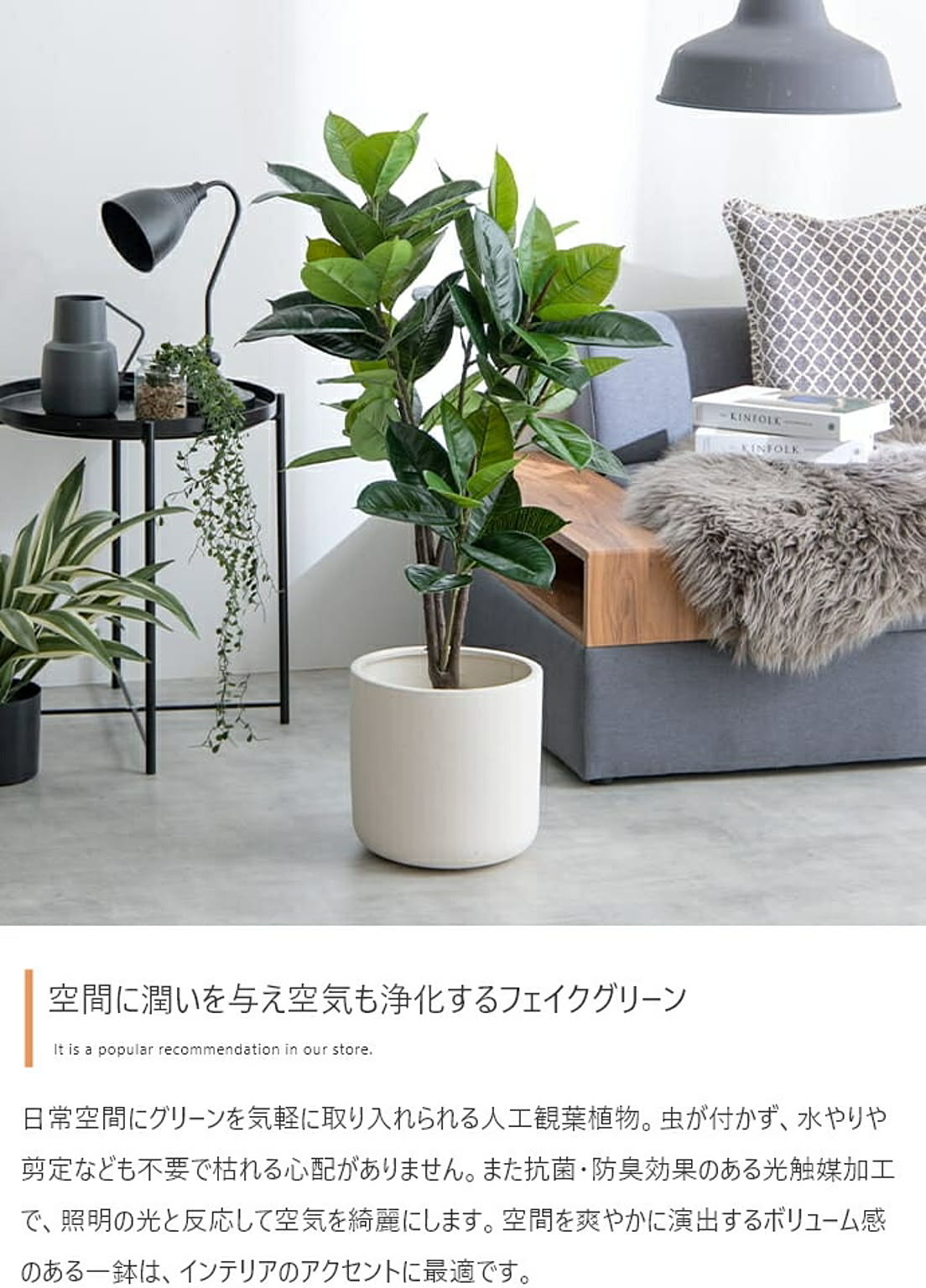 観葉植物