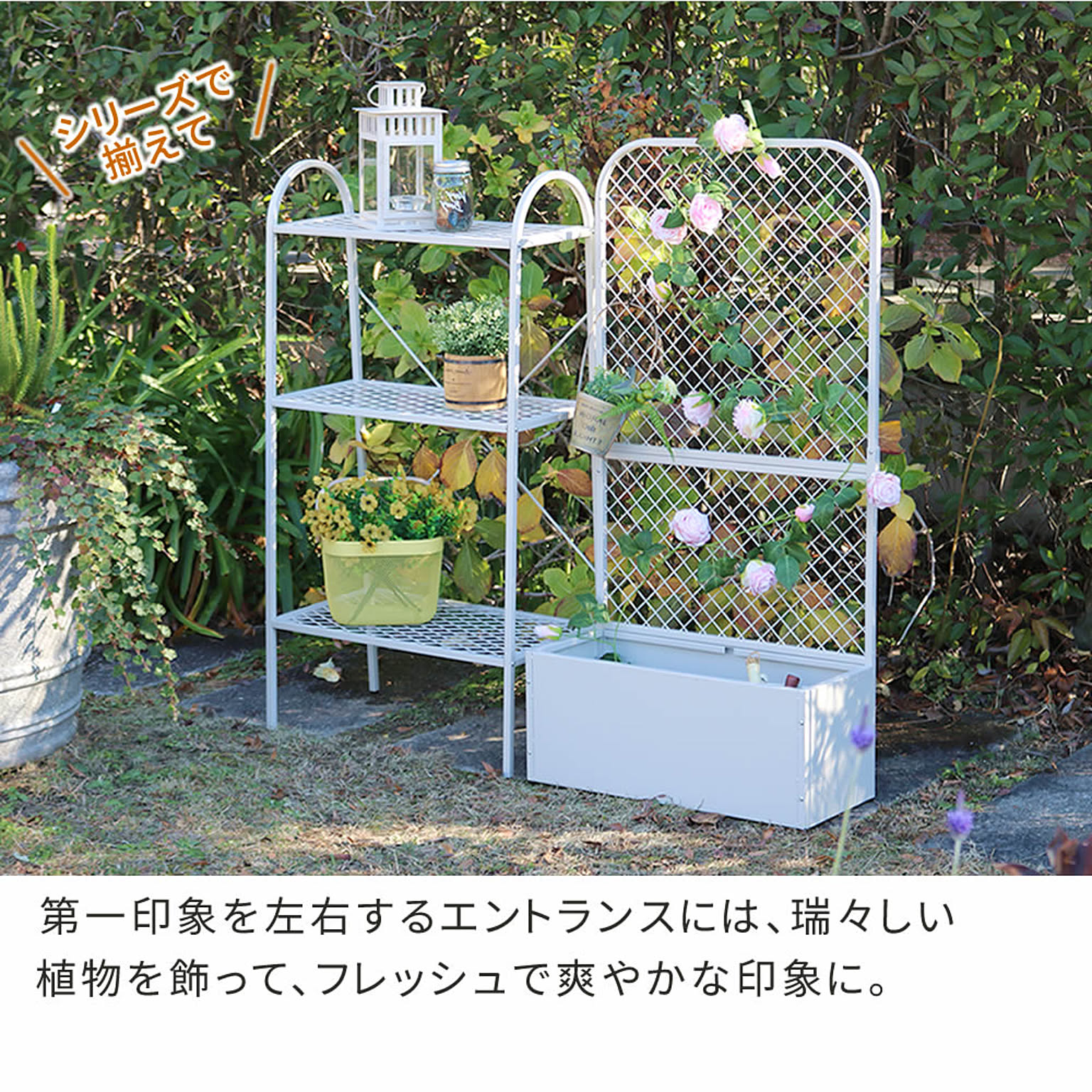 エクステリア