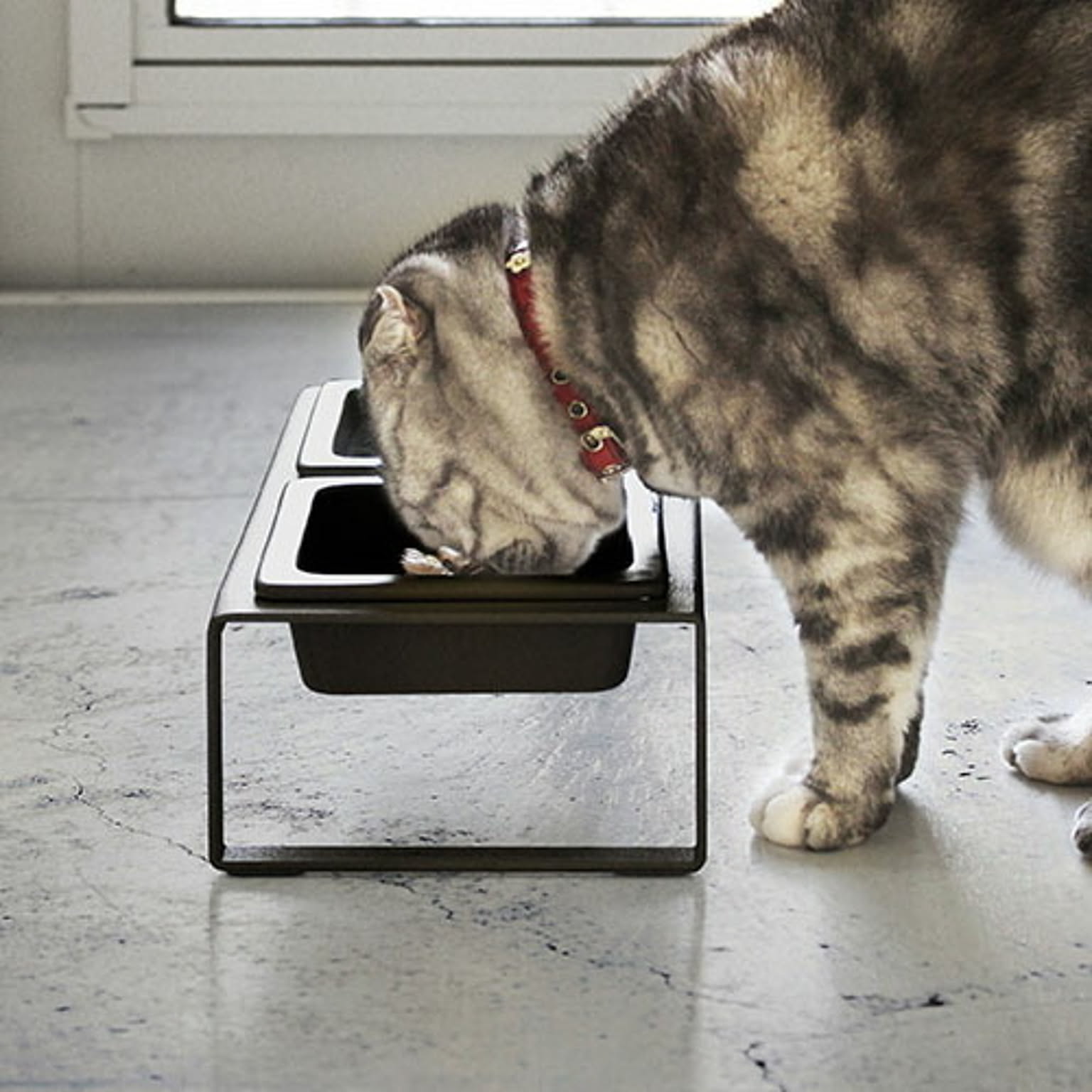猫用インテリア・猫用家具