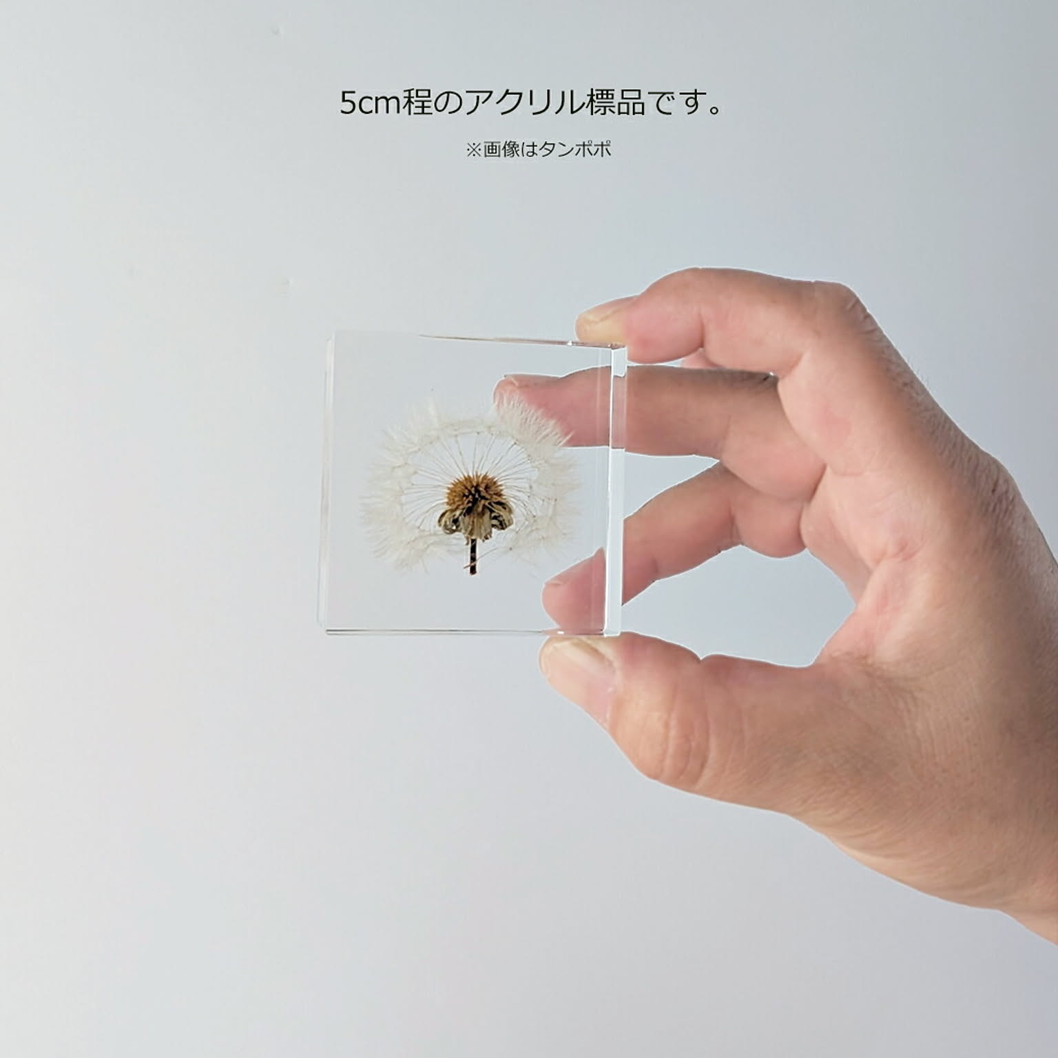 置物・オブジェ
