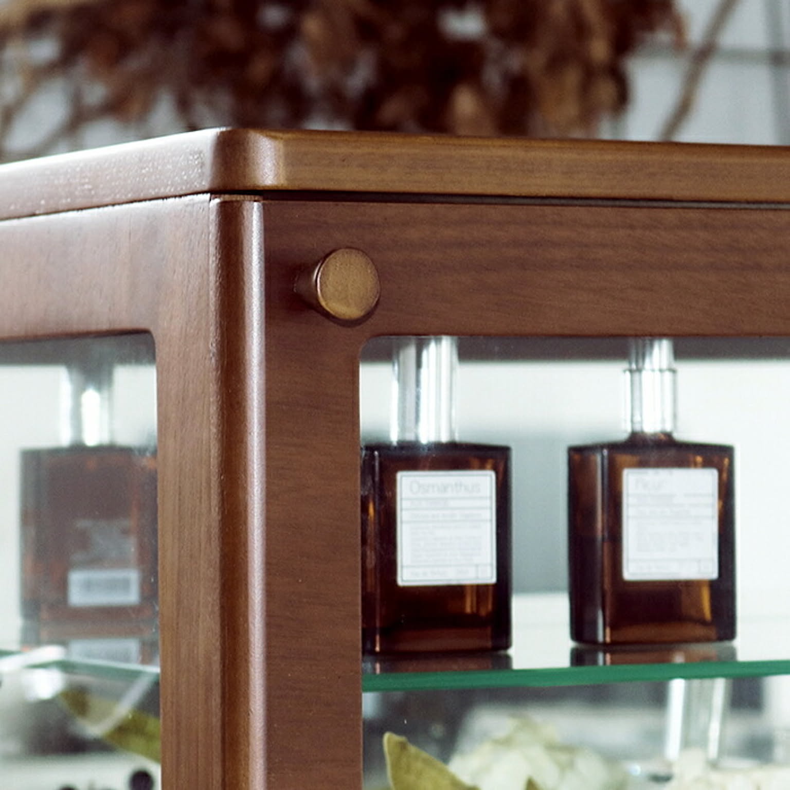 コレクションケース