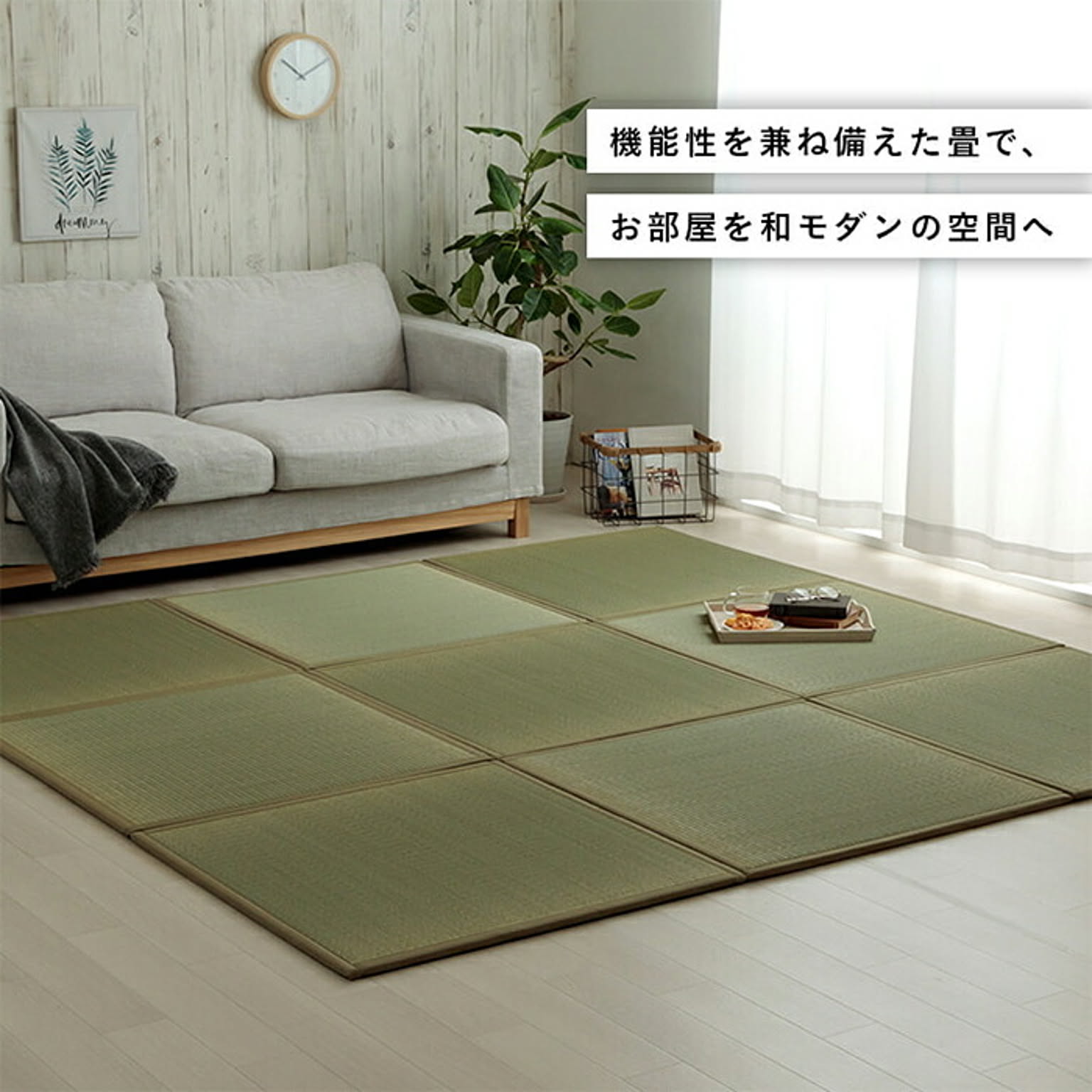 ござ・い草ラグ