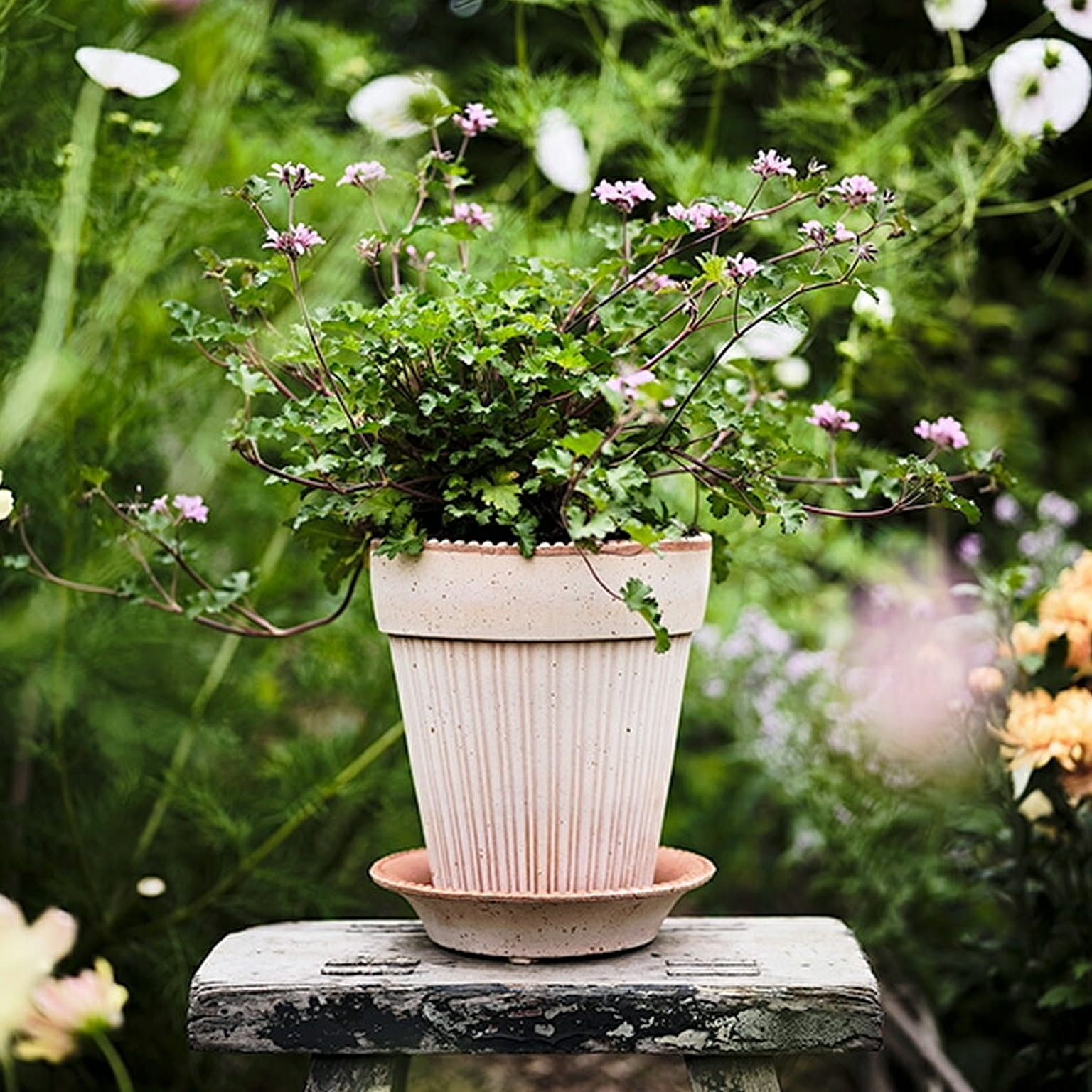 プランター・植木鉢