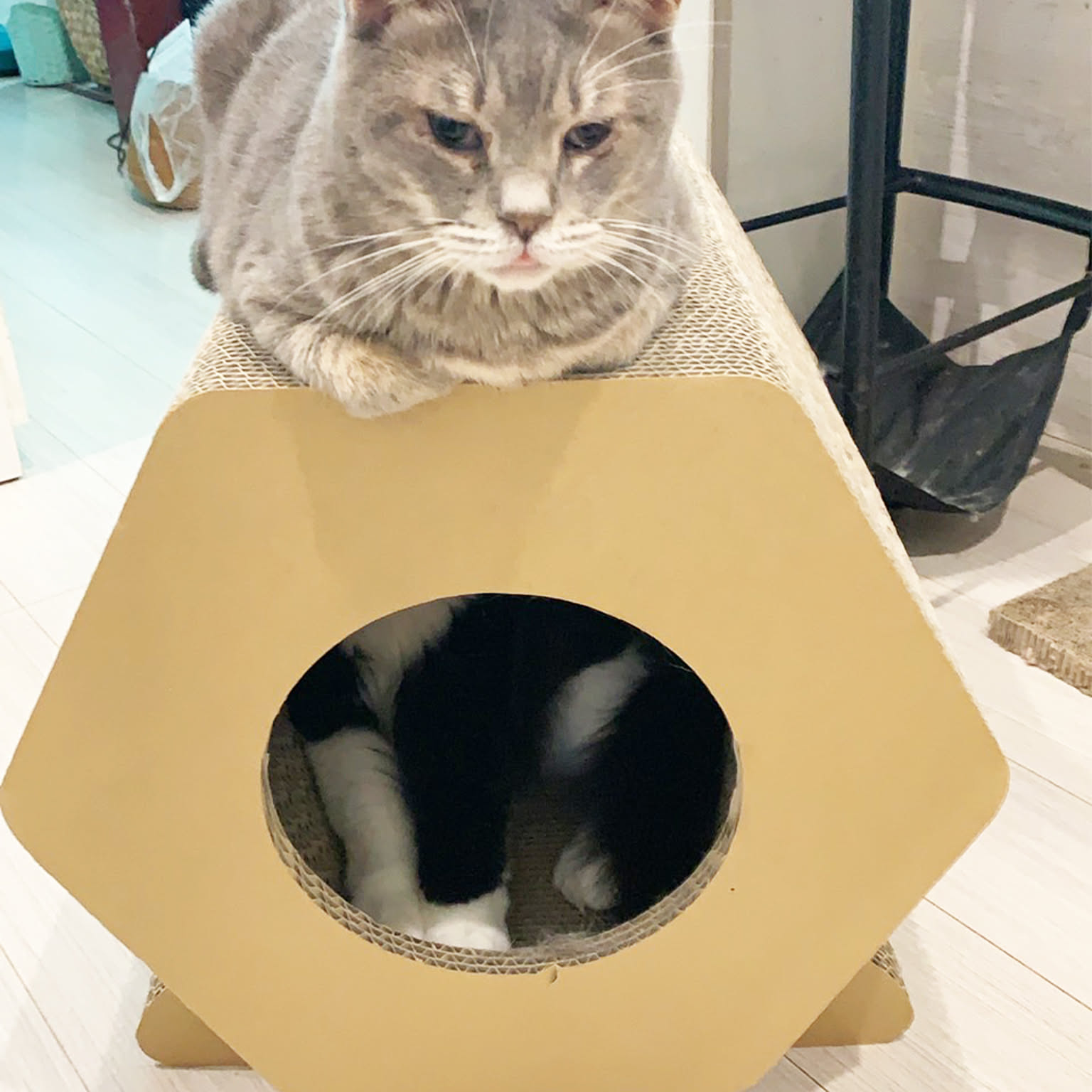 猫用インテリア・猫用家具