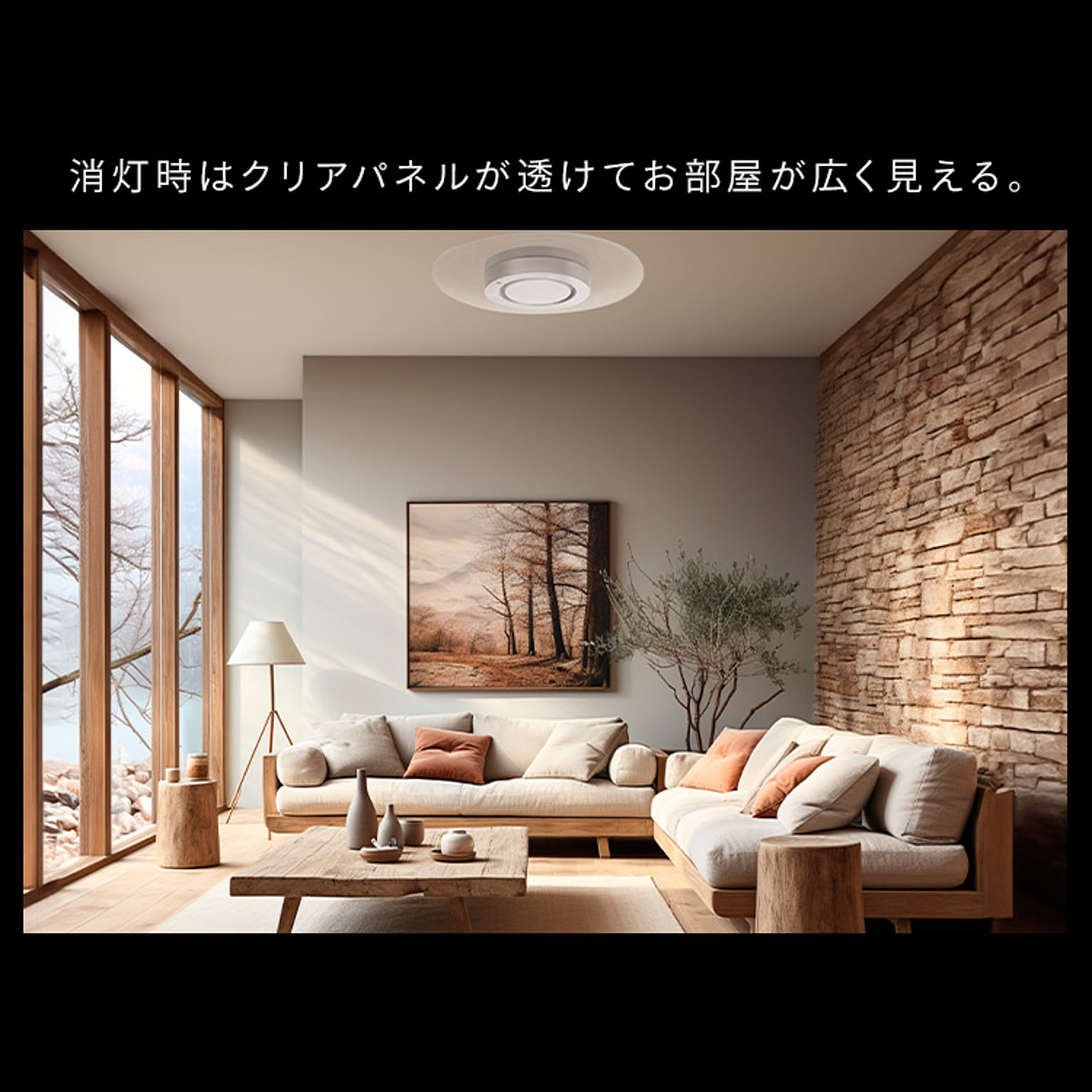 シーリングライト