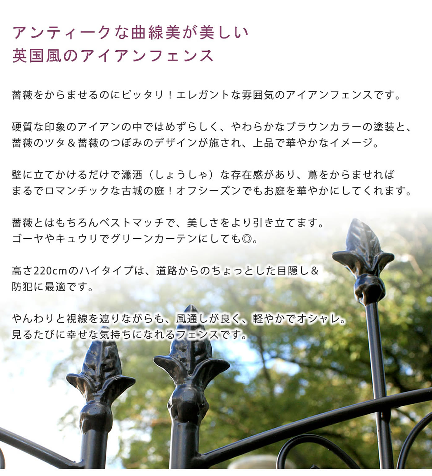 エクステリア