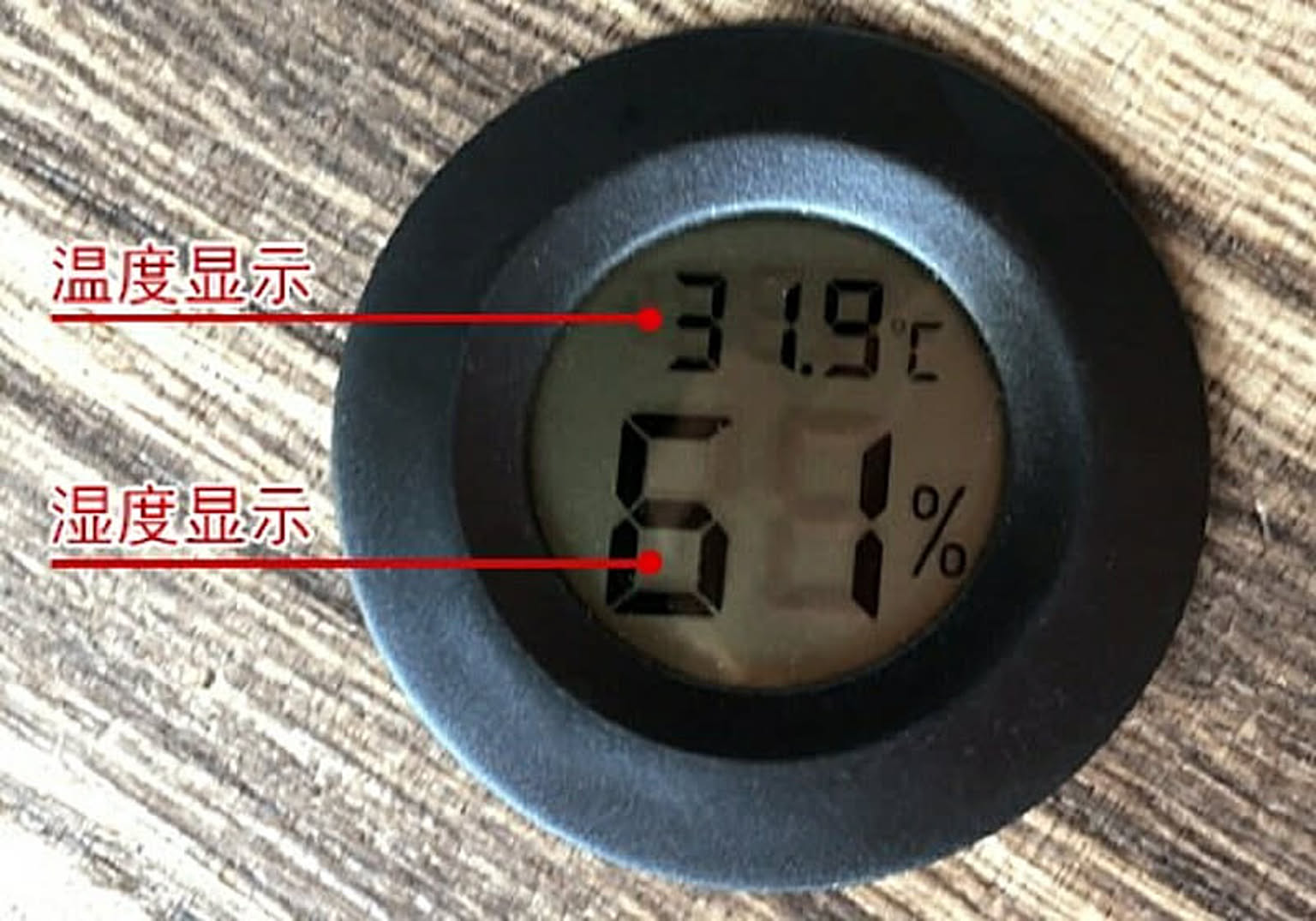 その他の動物のインテリア・その他の動物の家具