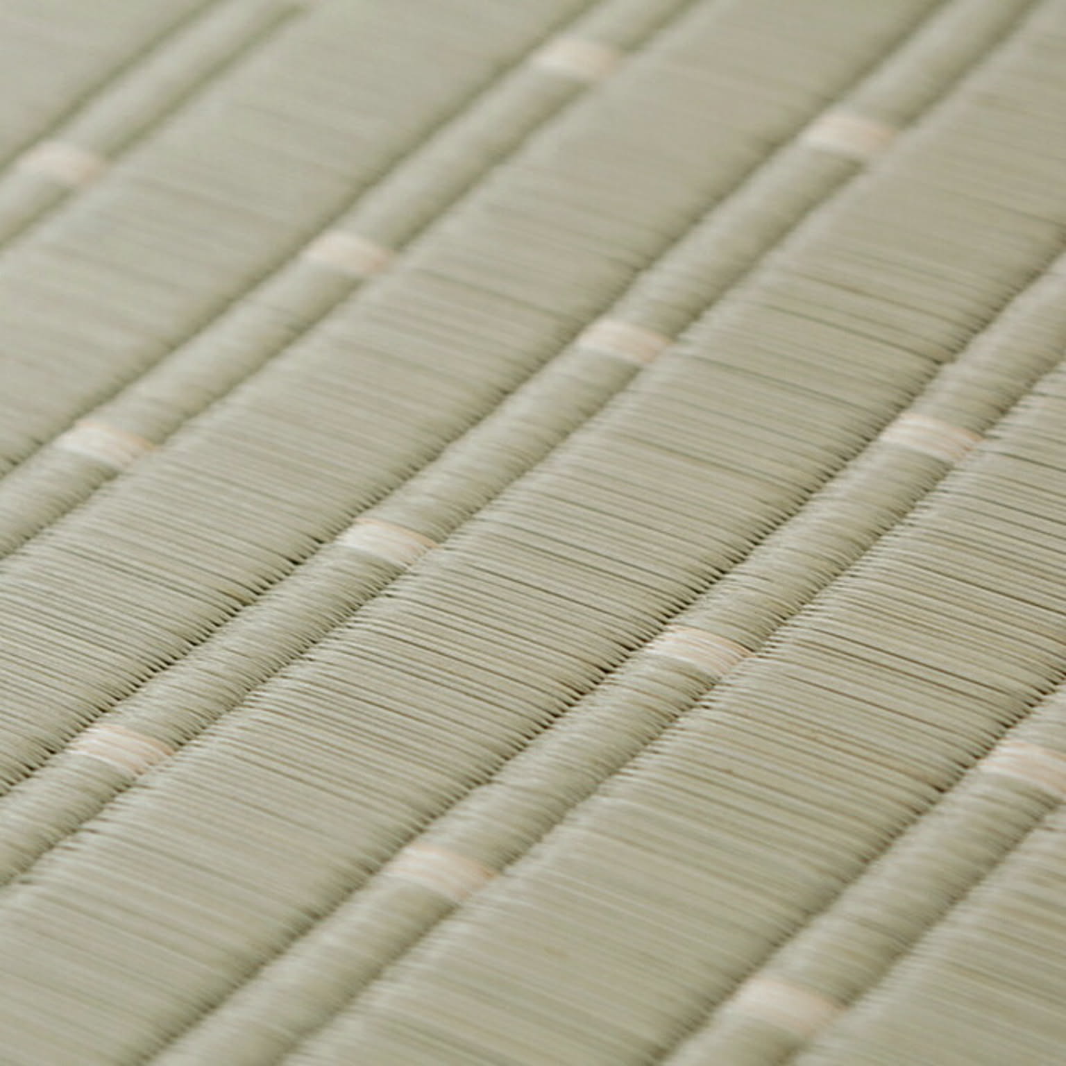 ござ・い草ラグ