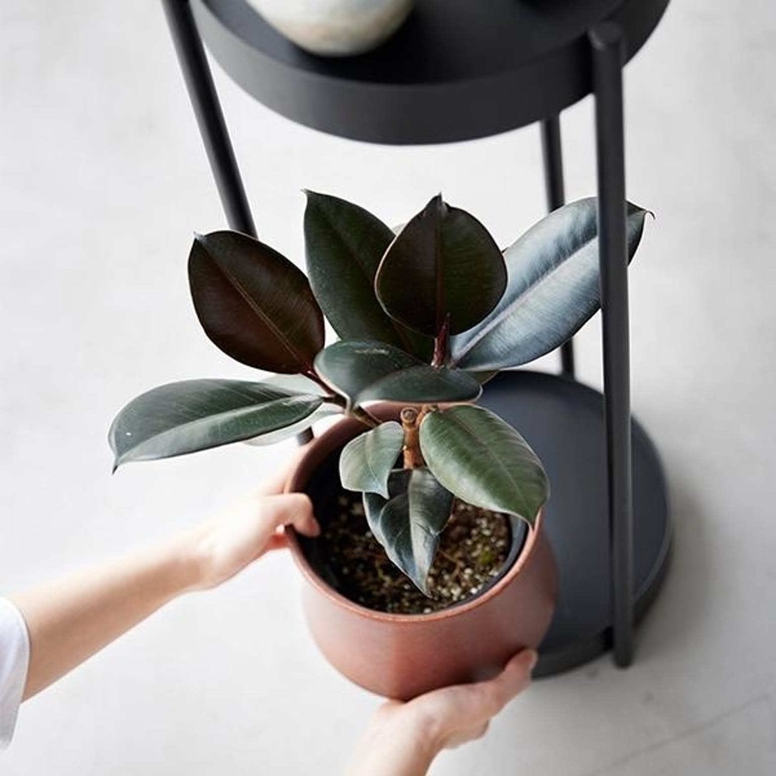 プランター・植木鉢
