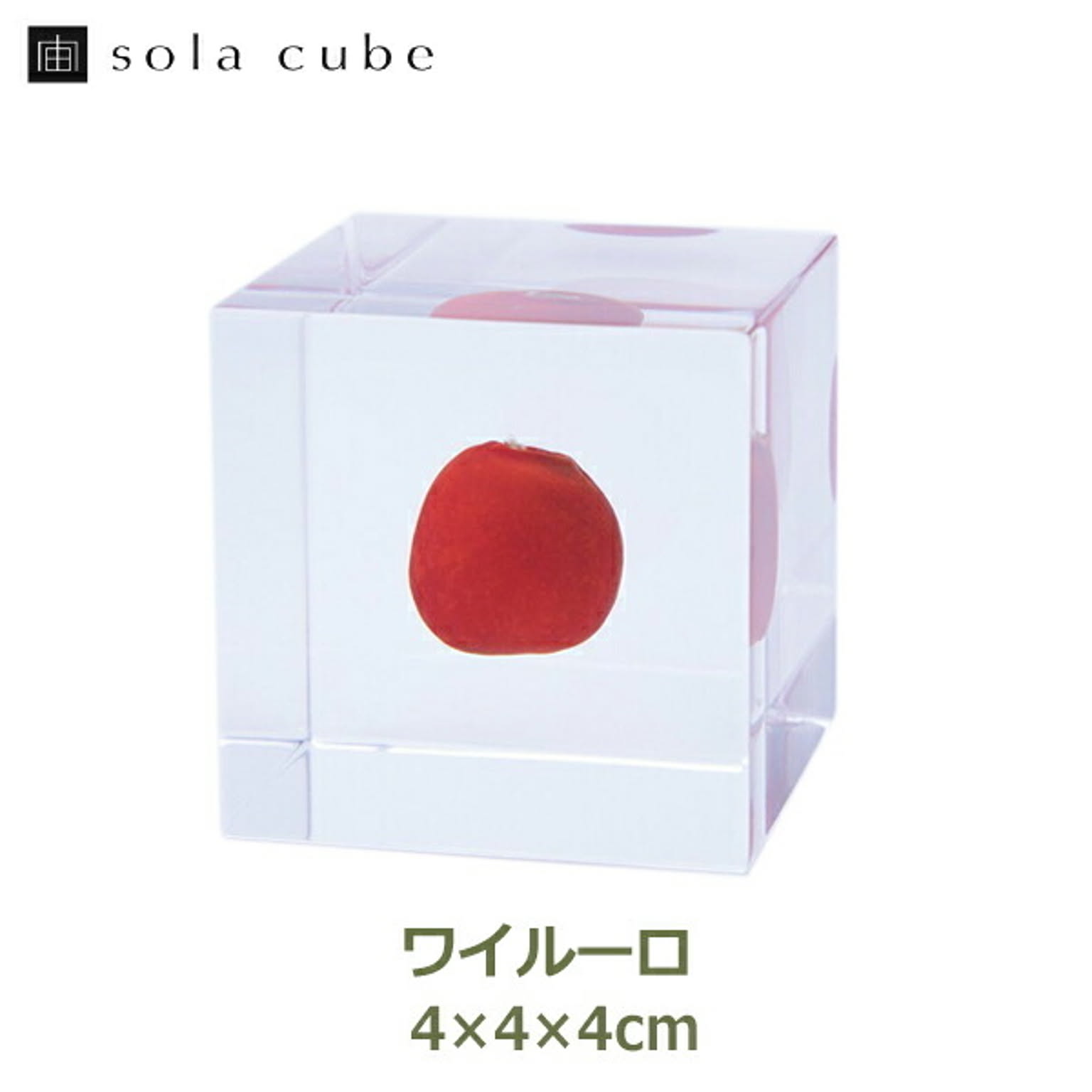 置物・オブジェ