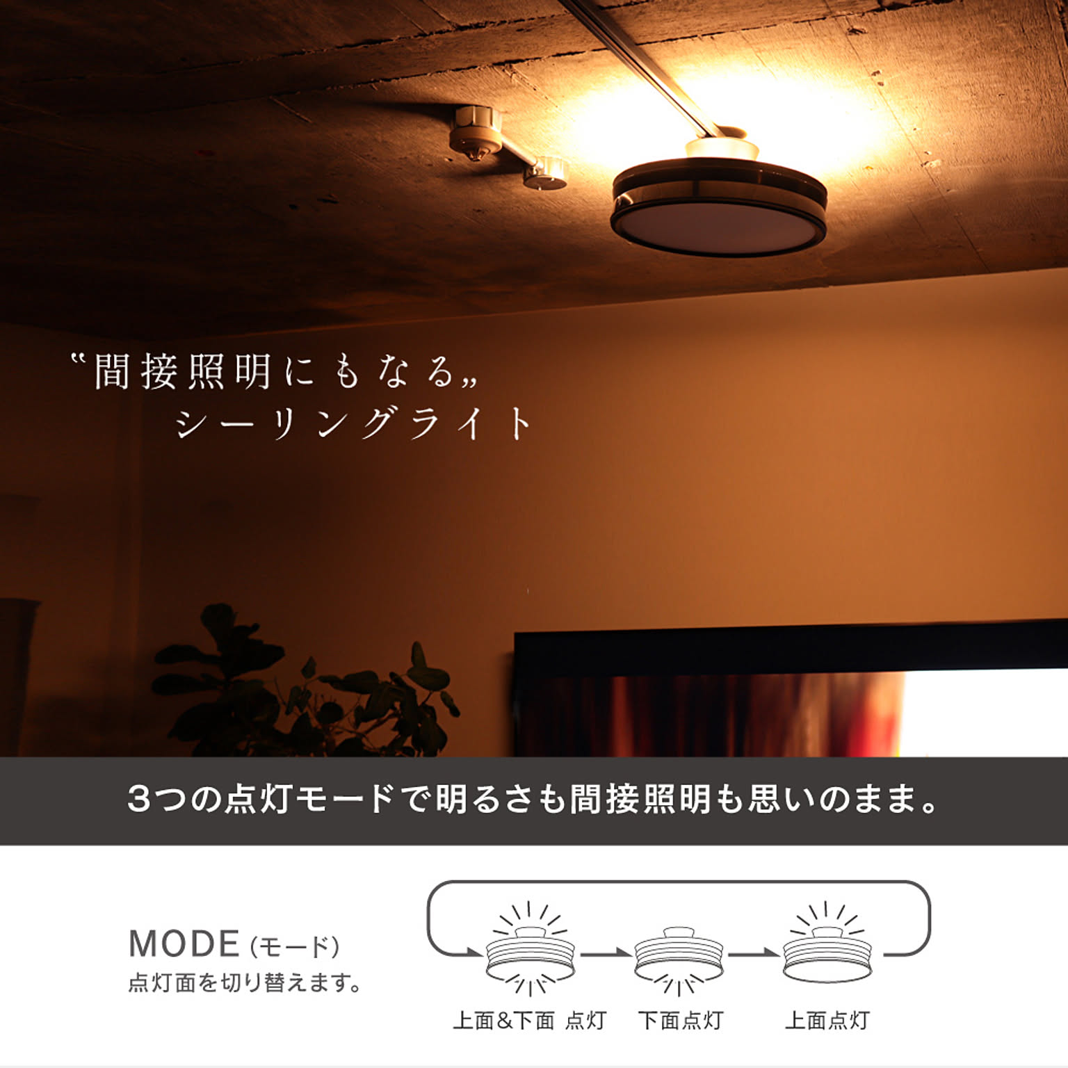 シーリングライト