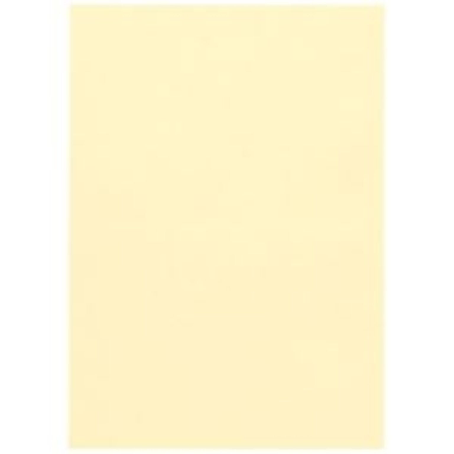 ジョインテックス カラーペーパー/コピー用紙 マルチタイプ A3 箱 レモン A163J-6