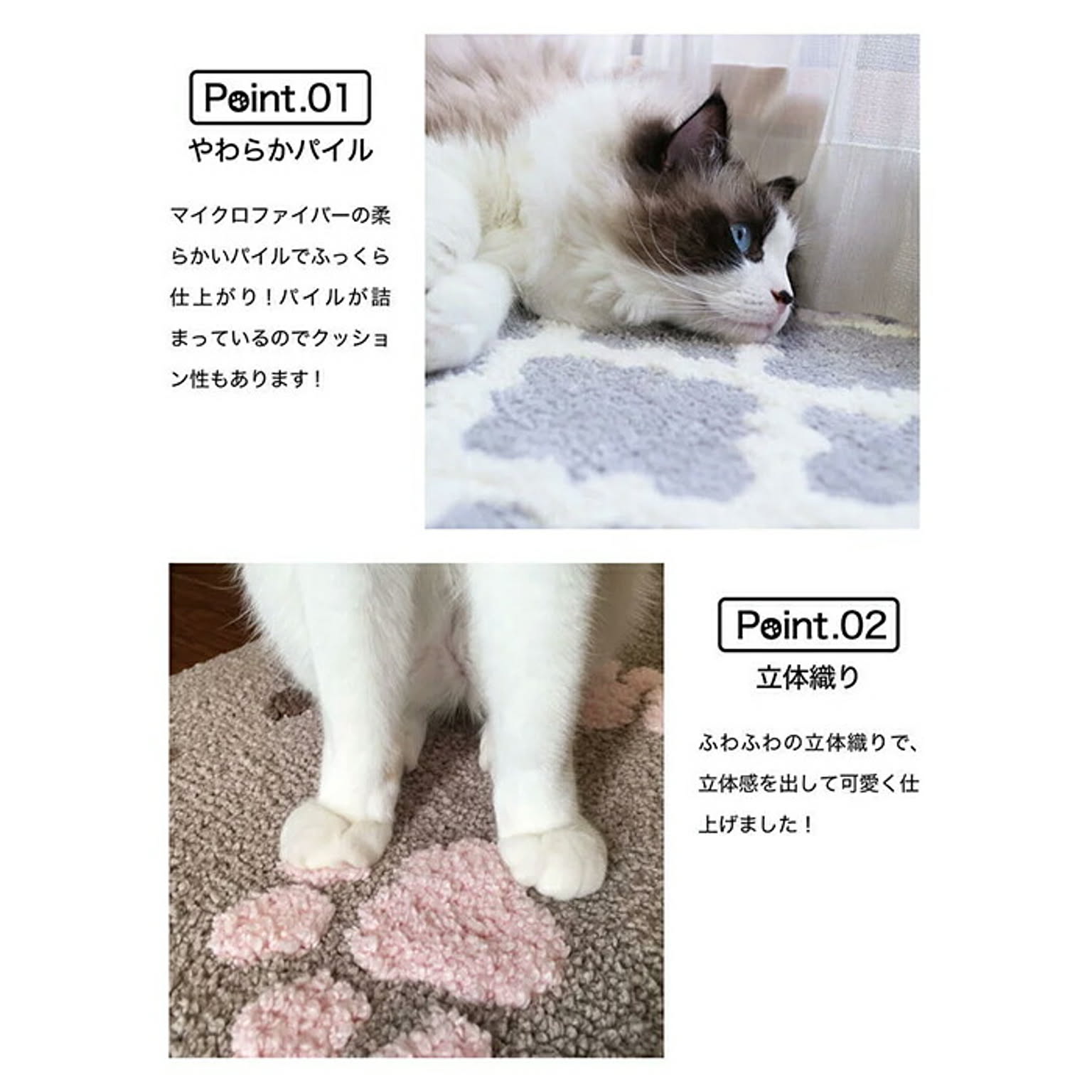 ラグ