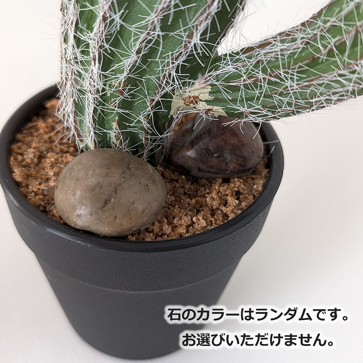 フェイクグリーン