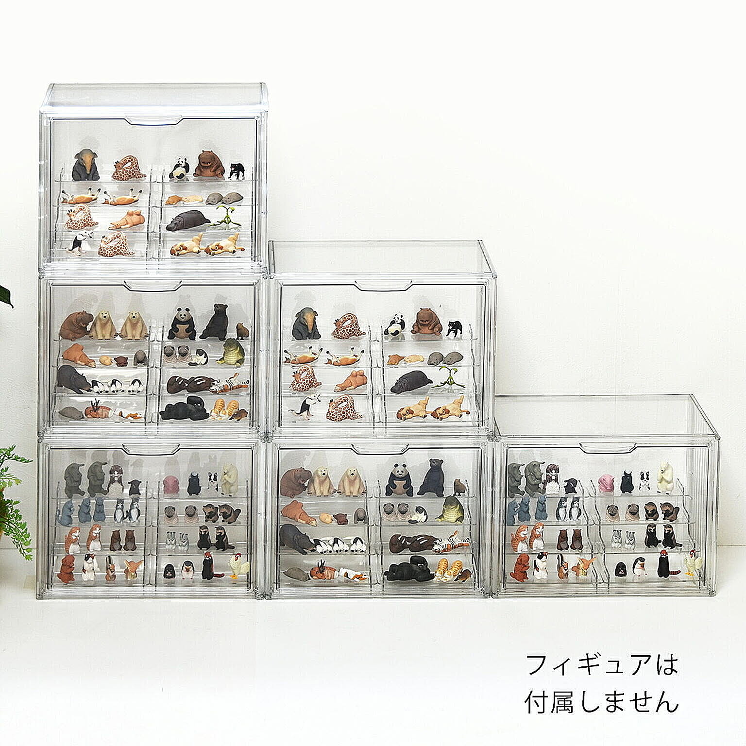 コレクションケース
