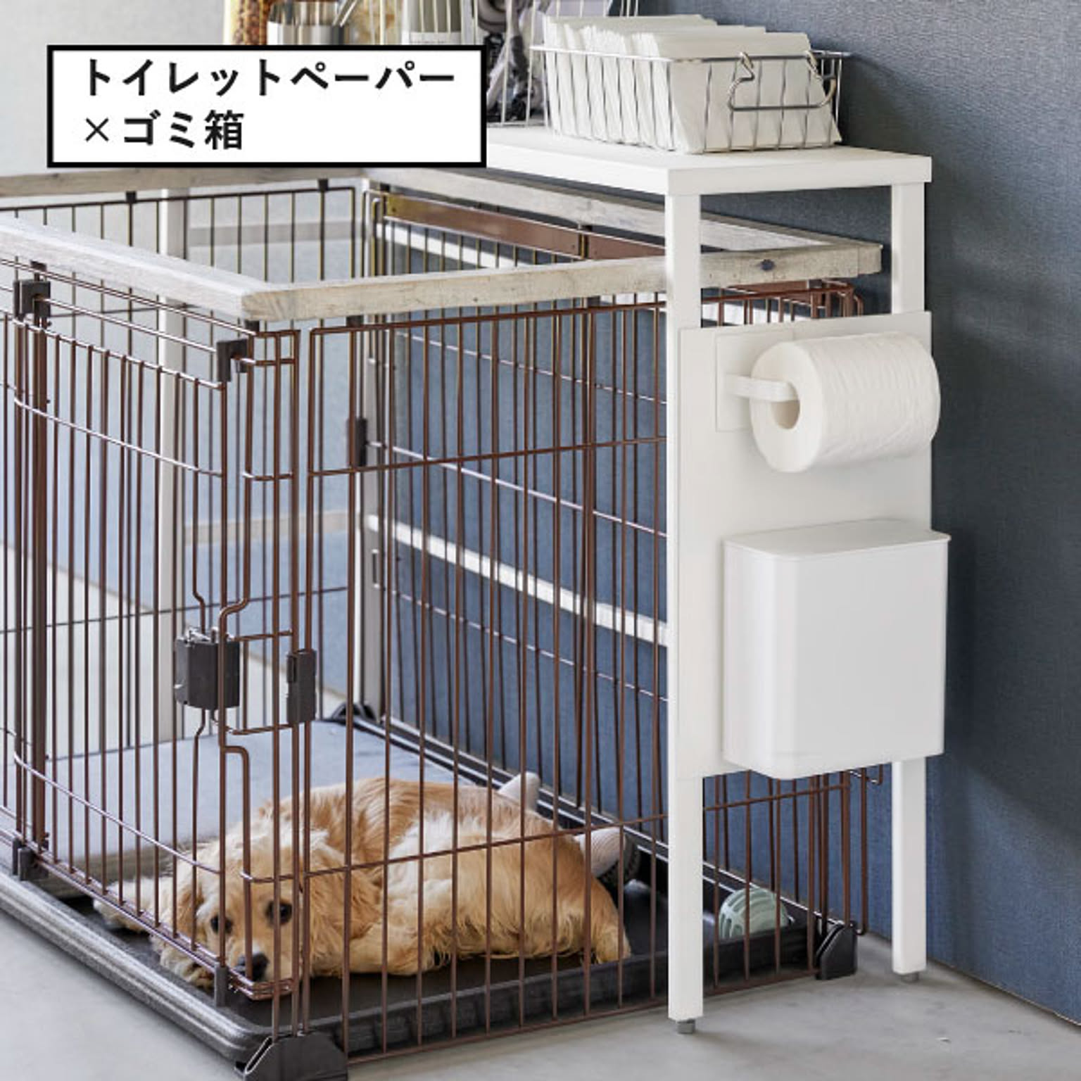 犬用インテリア・犬用家具