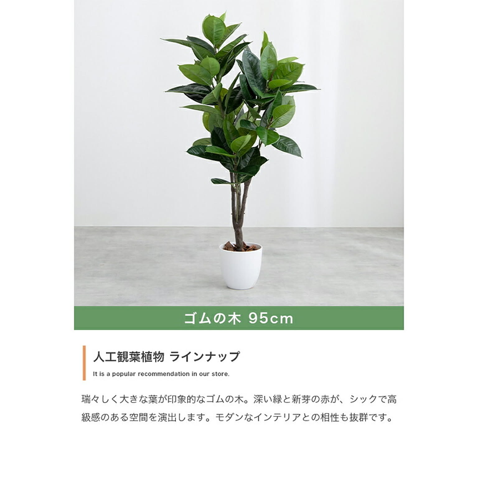 観葉植物