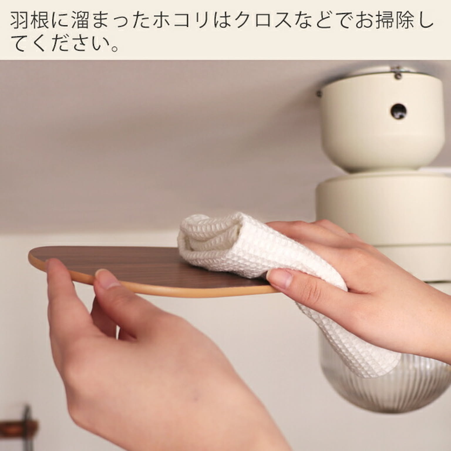 シーリングファンライト